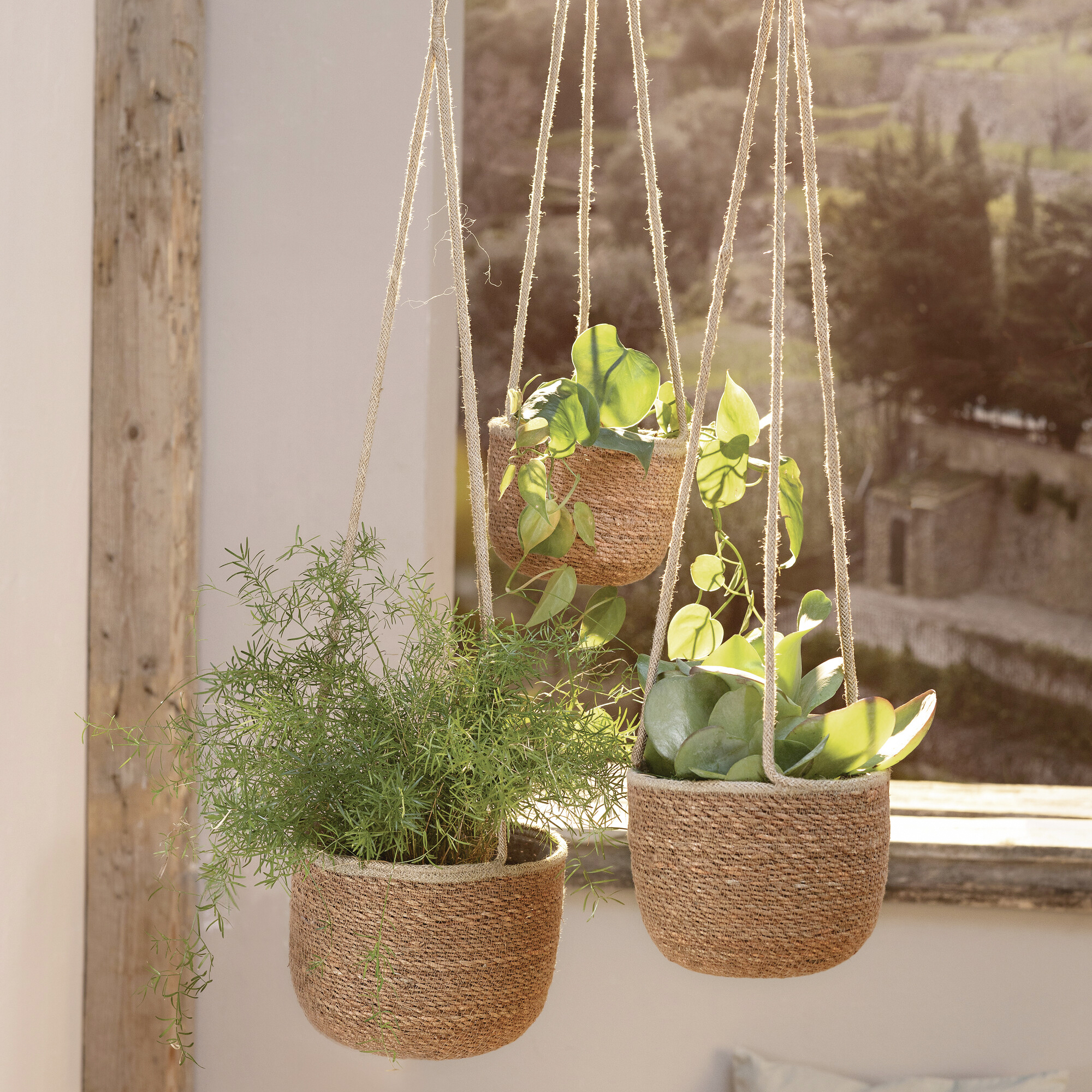 Acheter Lot de 3 jardinières "terra"  dans la boutique en ligne de Frank Flechtwaren