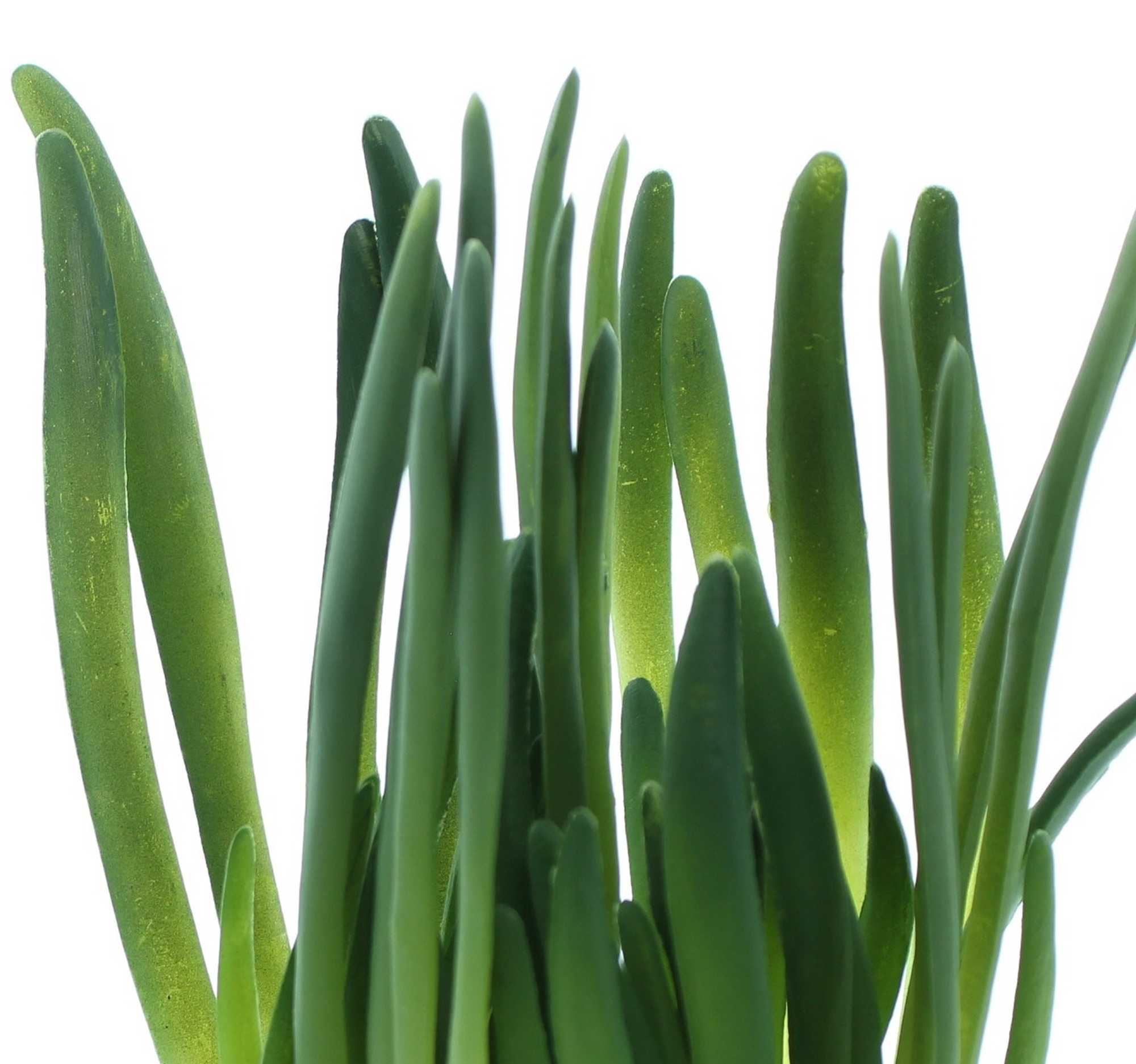 Acheter Lot de 2 plantes artificielles "verdure" dans la boutique en ligne de Frank Flechtwaren pour Plantes artificielles Acheter Lot de 2 plantes artificielles "verdure" dans la boutique en ligne de Frank Flechtwaren pour Plantes artificielles
