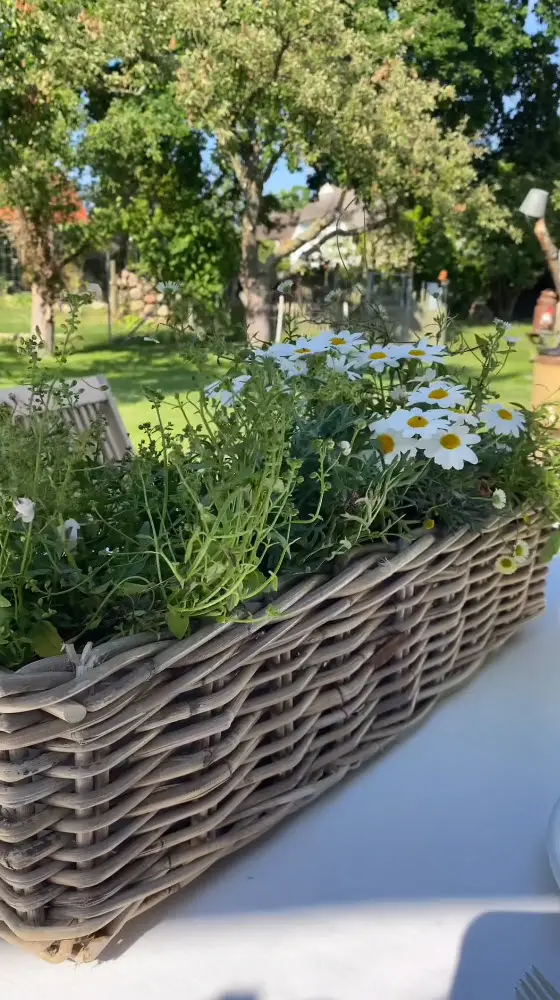 Jardinière : jardinière en rotin tressé avec des marguerites blanches, une décoration de table naturelle pour le jardin