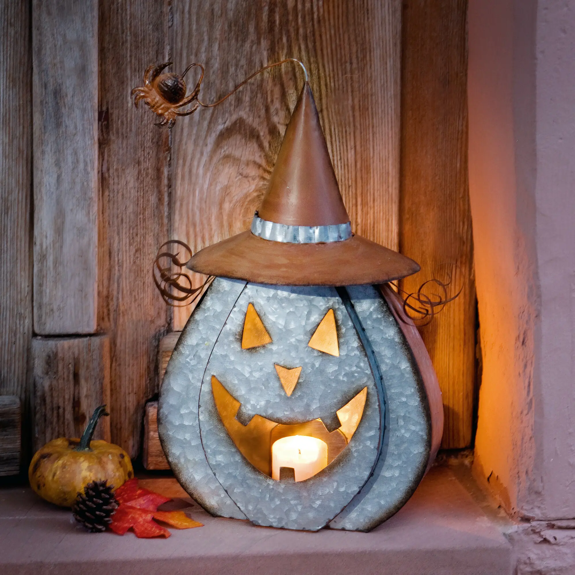 Acheter Citrouille "Halloween"  dans la boutique en ligne de Frank Flechtwaren