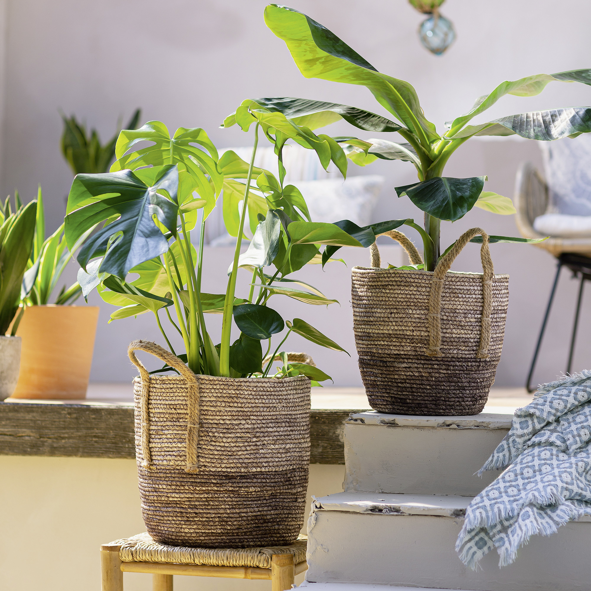 Acheter Lot de 2 corbeilles "Ibiza"  dans la boutique en ligne de Frank Flechtwaren