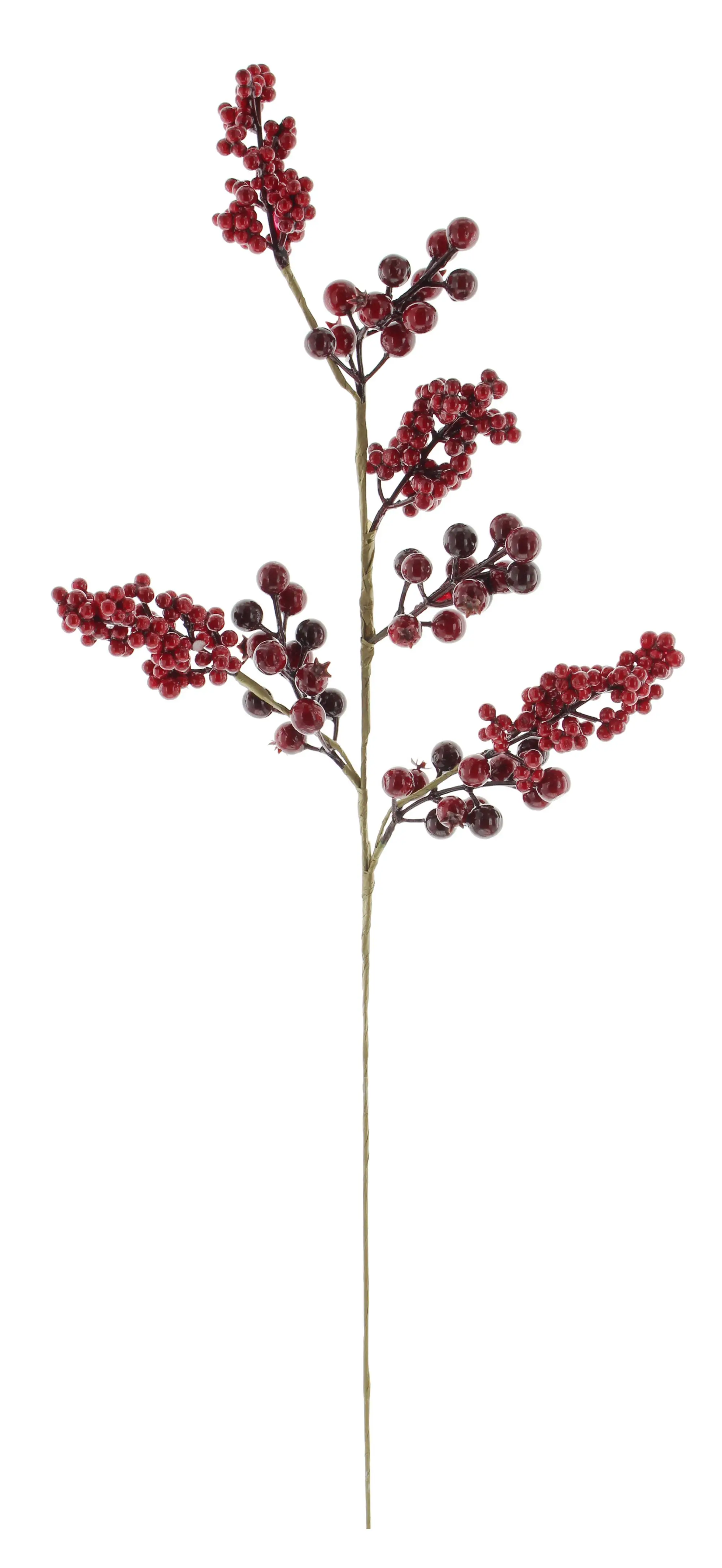 Acheter Brindilles de décoration "baies rouges" dans la boutique en ligne de Frank Flechtwaren pour Couronnes et bouquets Acheter Brindilles de décoration "baies rouges" dans la boutique en ligne de Frank Flechtwaren pour Couronnes et bouquets