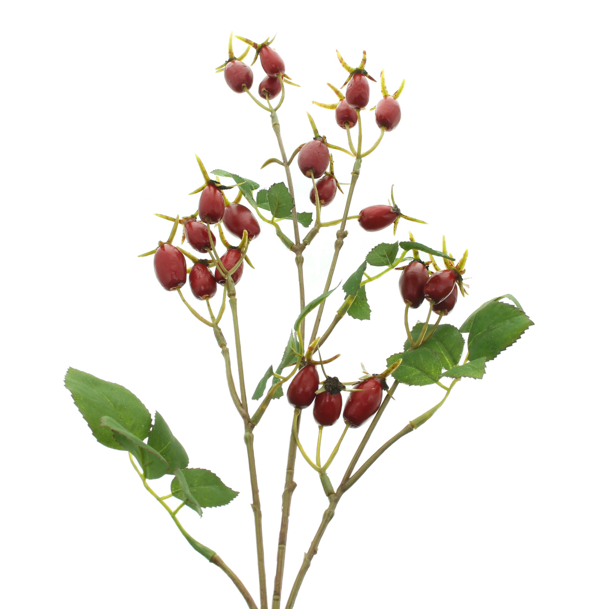 Acheter Branche artificielle "Cynorrhodons"  dans la boutique en ligne de Frank Flechtwaren pour Noël