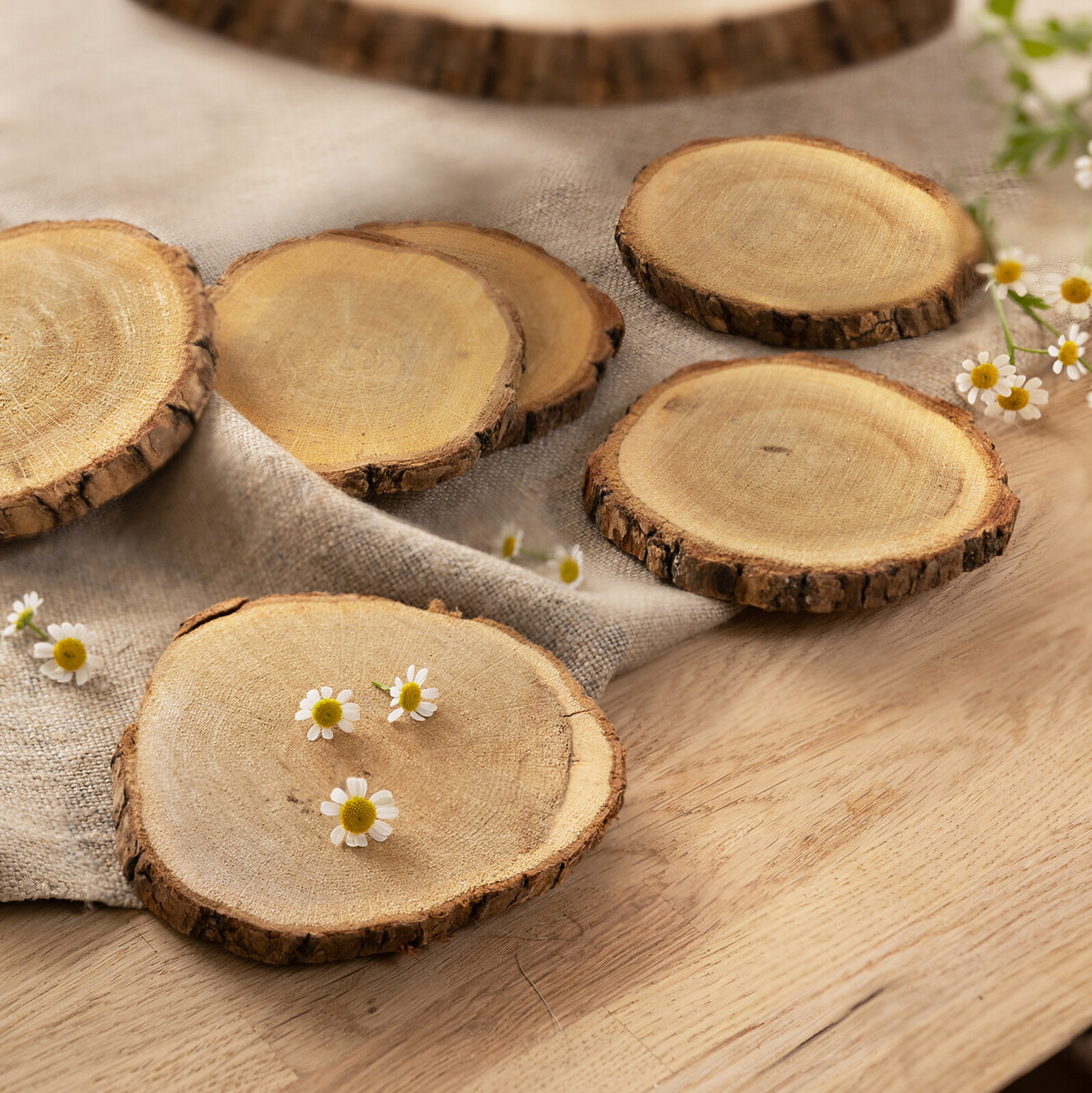 Acheter Lot de 6 rondins en bois "chêne" dans la boutique en ligne de Frank Flechtwaren pour Pâques Acheter Lot de 6 rondins en bois "chêne" dans la boutique en ligne de Frank Flechtwaren pour Pâques
