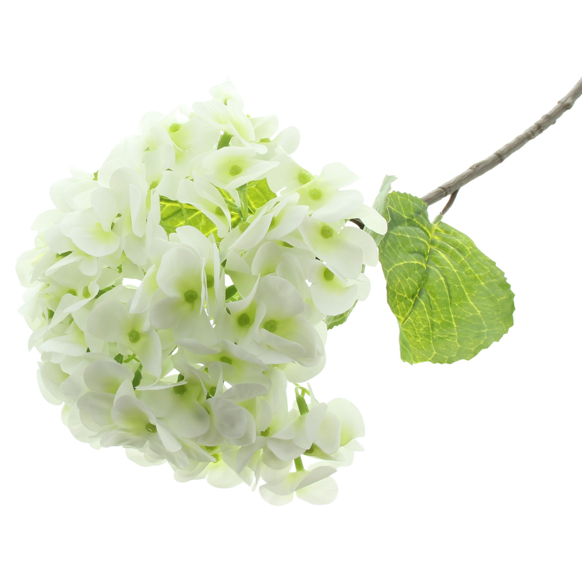 Acheter Fleur artificielle "hortensia blanche"  dans la boutique en ligne de Frank Flechtwaren pour Plantes artificielles