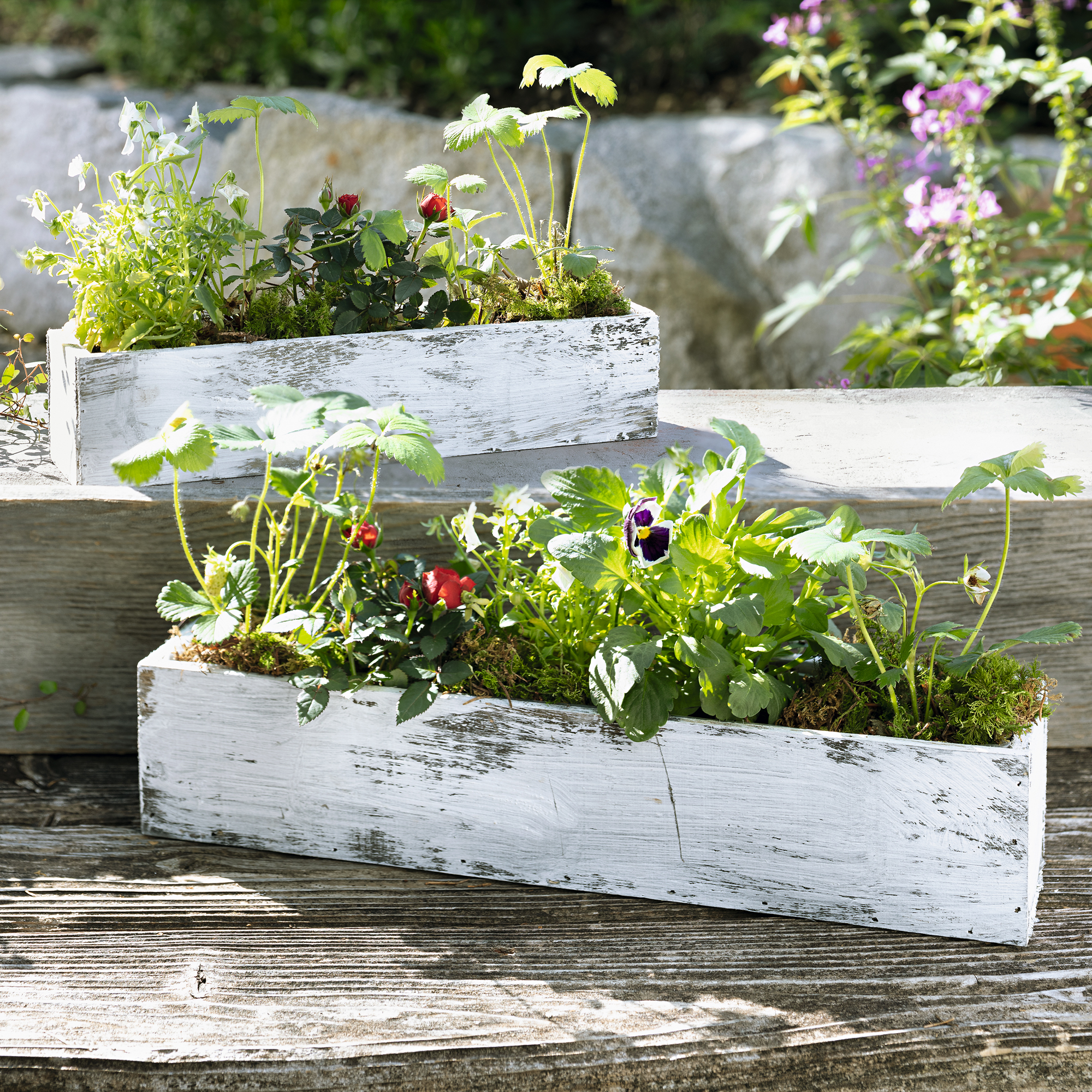 Acheter Lot de 2 jardinières "blanc délavé"  dans la boutique en ligne de Frank Flechtwaren