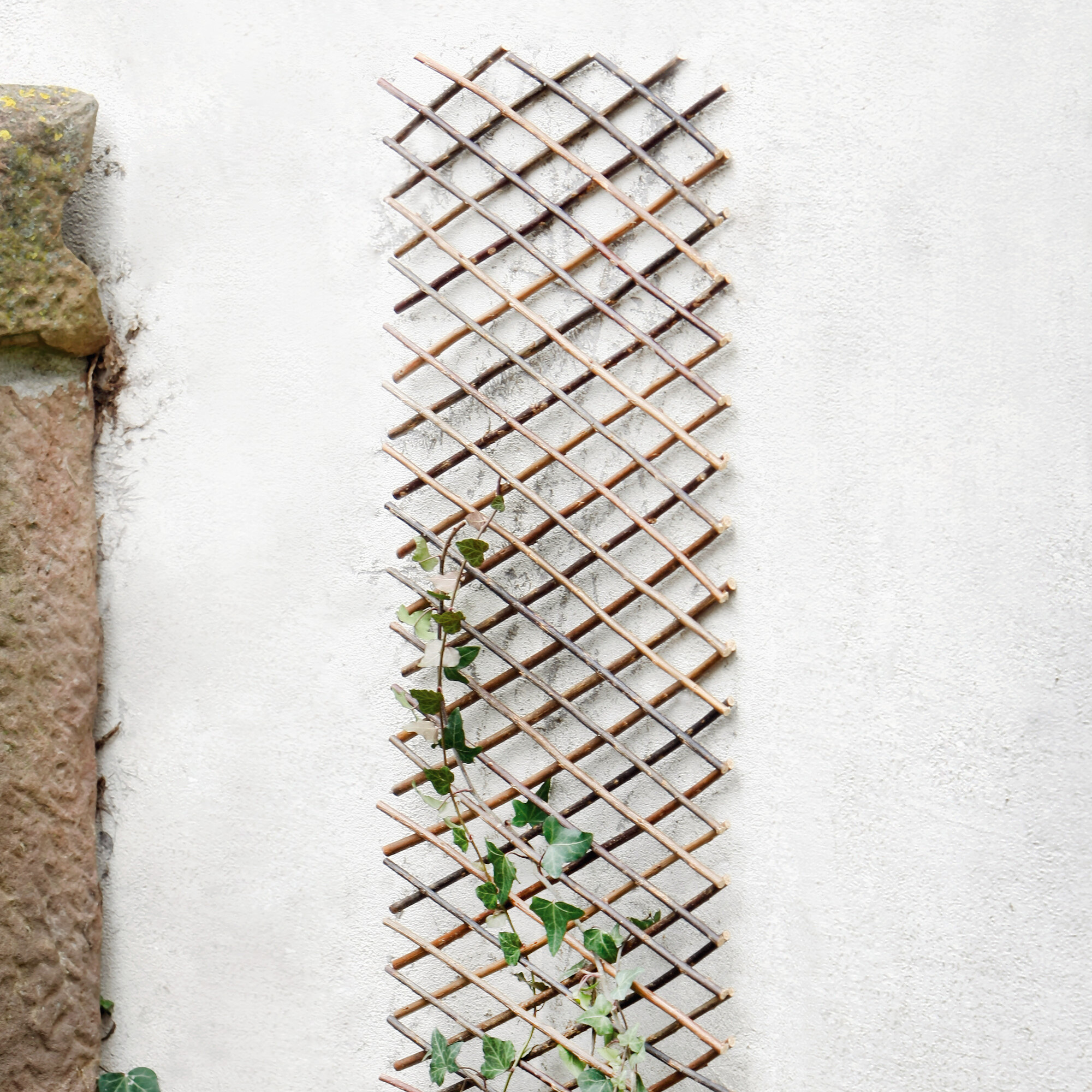 Acheter Grille tuteur, variable  dans la boutique en ligne de Frank Flechtwaren