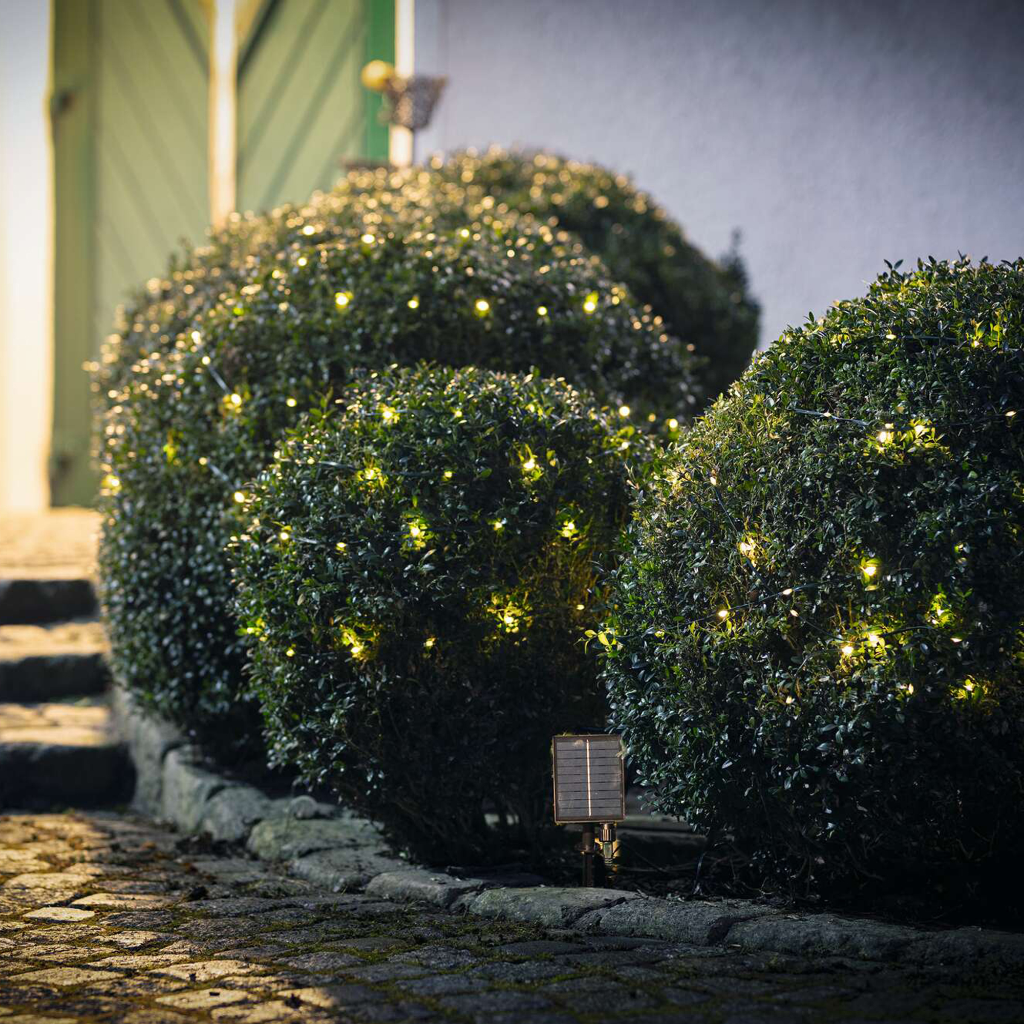 Acheter Guirlande lumineuse LED "solaire"  dans la boutique en ligne de Frank Flechtwaren