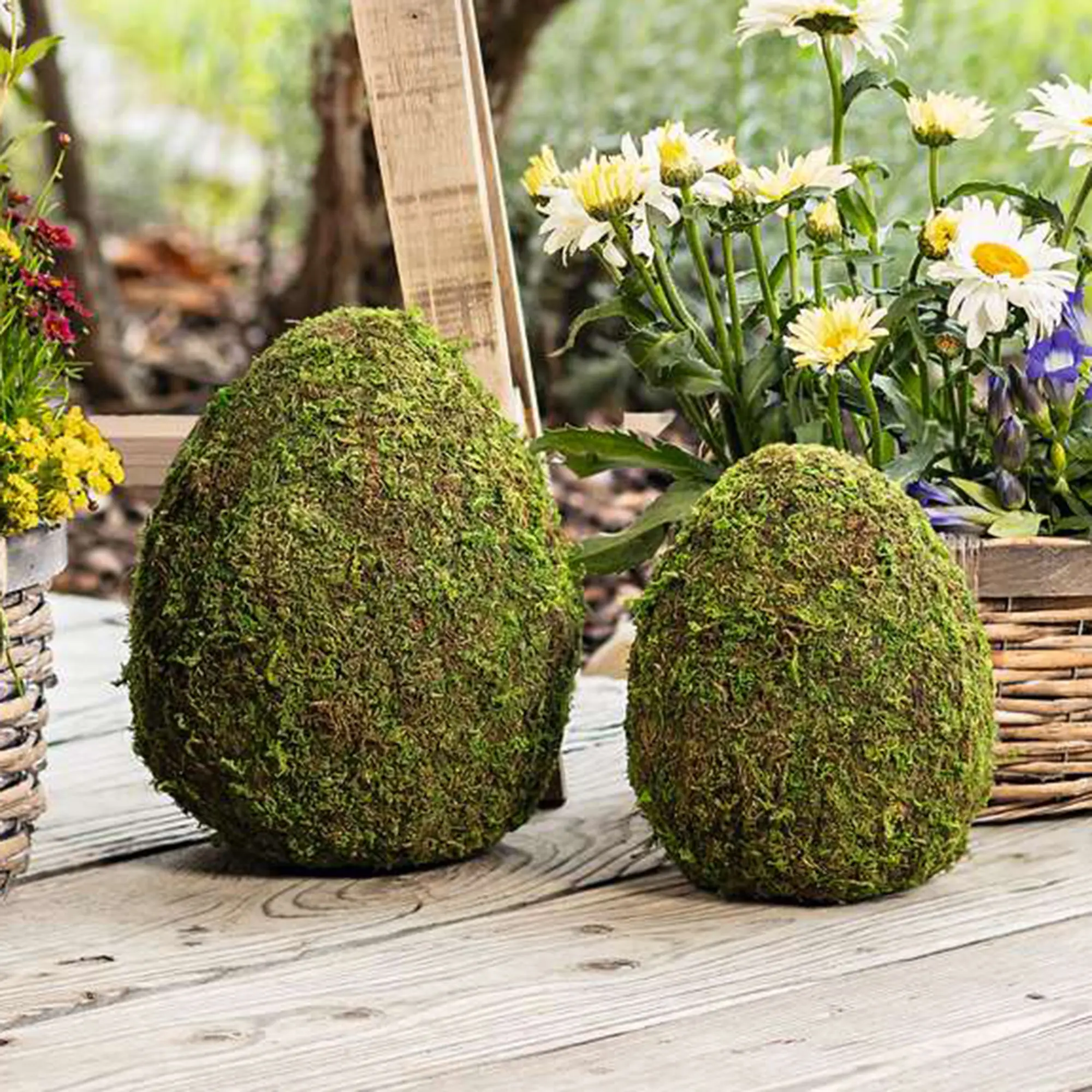 Acheter Lot de 2 oeufs décoratifs "mousse"  dans la boutique en ligne de Frank Flechtwaren