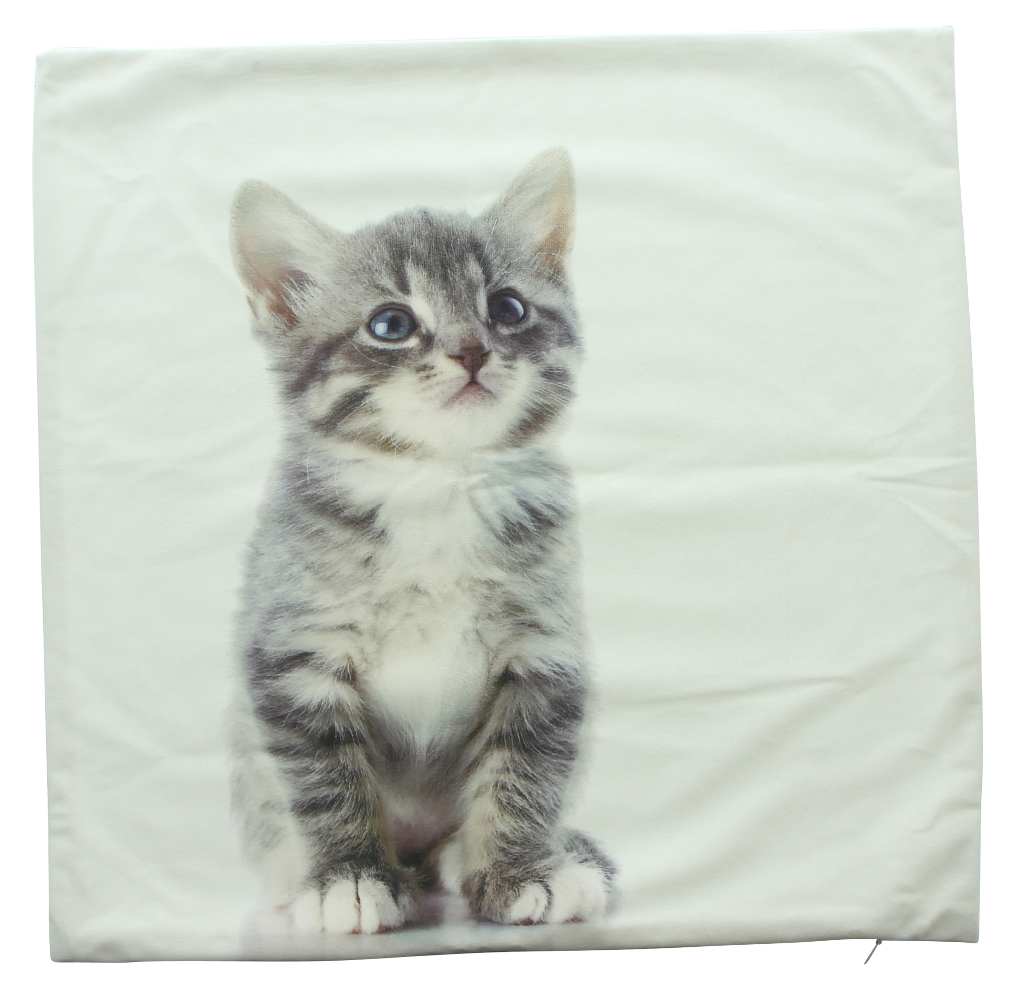Acheter Housse de coussin "Kitty"  dans la boutique en ligne de Frank Flechtwaren pour Remplissages