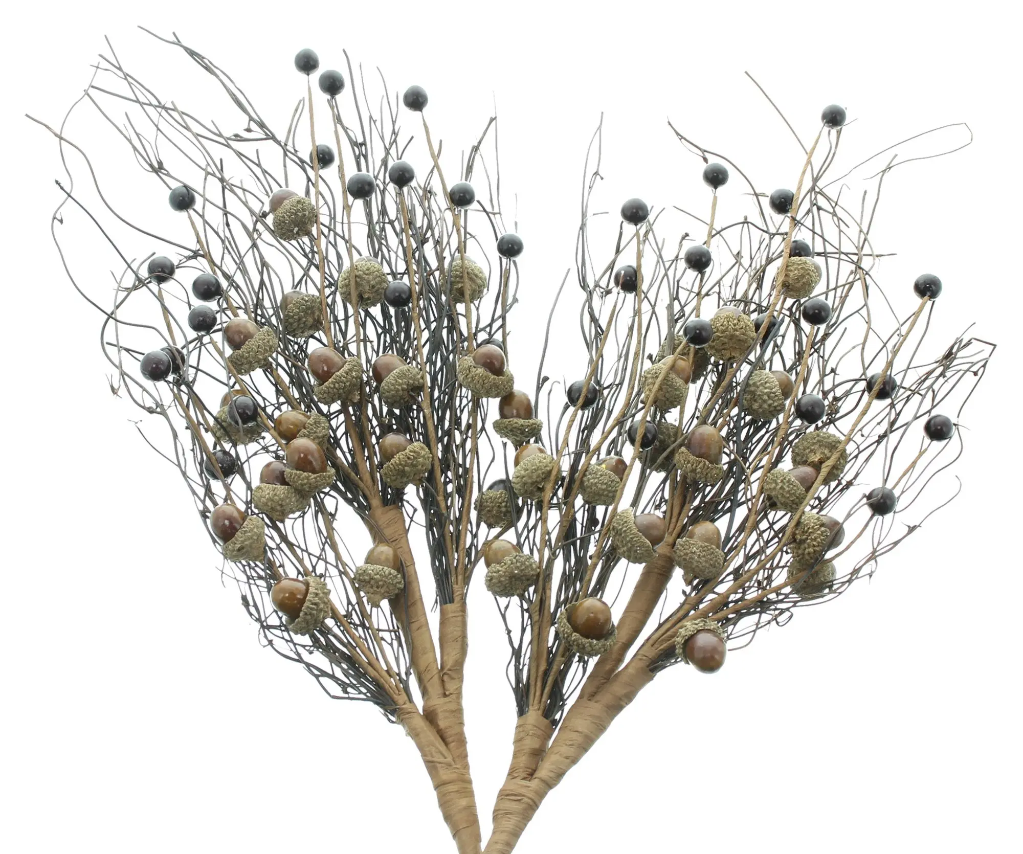 Acheter Branche décorative « glands », lot de 2 dans la boutique en ligne de Frank Flechtwaren pour Promenade en forêt