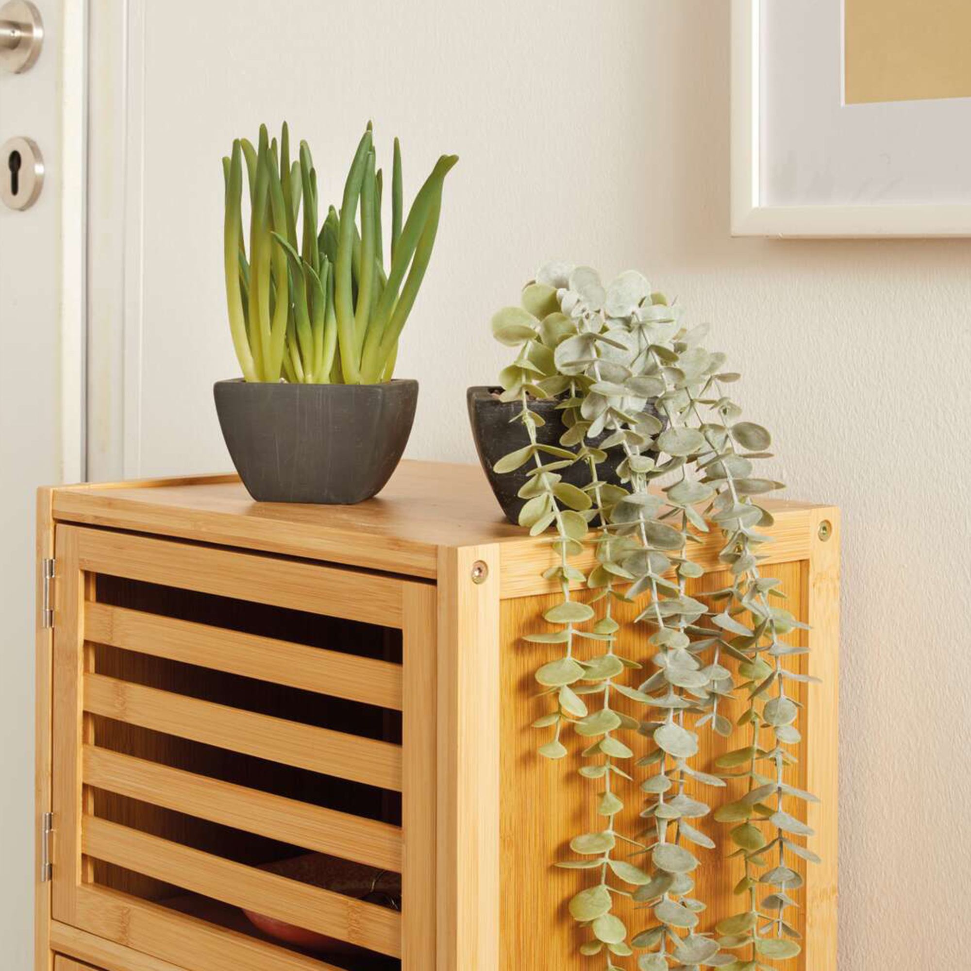Acheter Lot de 2 plantes artificielles "verdure"  dans la boutique en ligne de Frank Flechtwaren