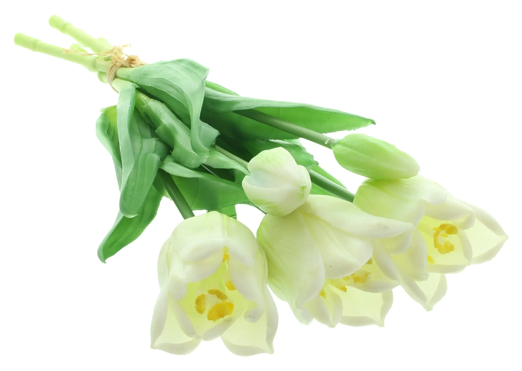 Acheter Lot de 5 tulipes "blanches"  dans la boutique en ligne de Frank Flechtwaren pour Tons pastel