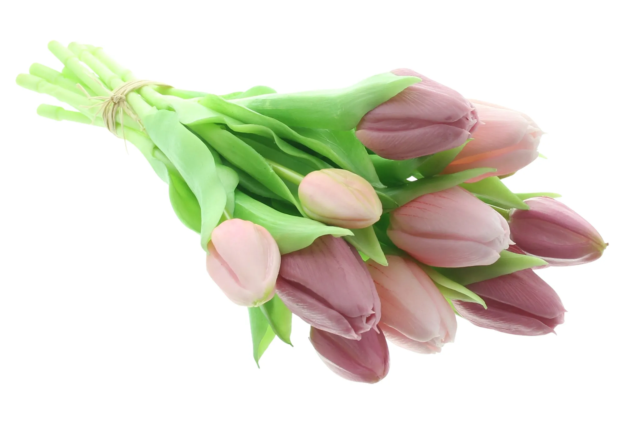 Acheter Lot de 14 tulipes "rose &amp; violet"  dans la boutique en ligne de Frank Flechtwaren pour Pâques colorée