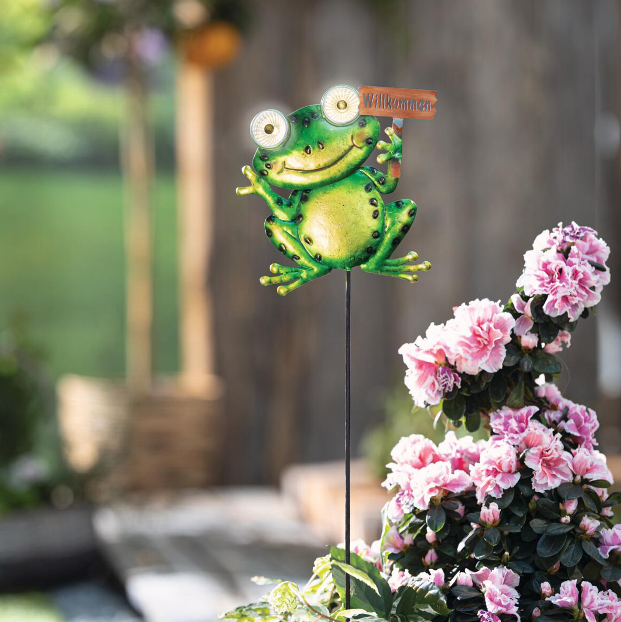 Acheter Pic solaire LED " Grazy Frog "  dans la boutique en ligne de Frank Flechtwaren pour Figurines de jardin