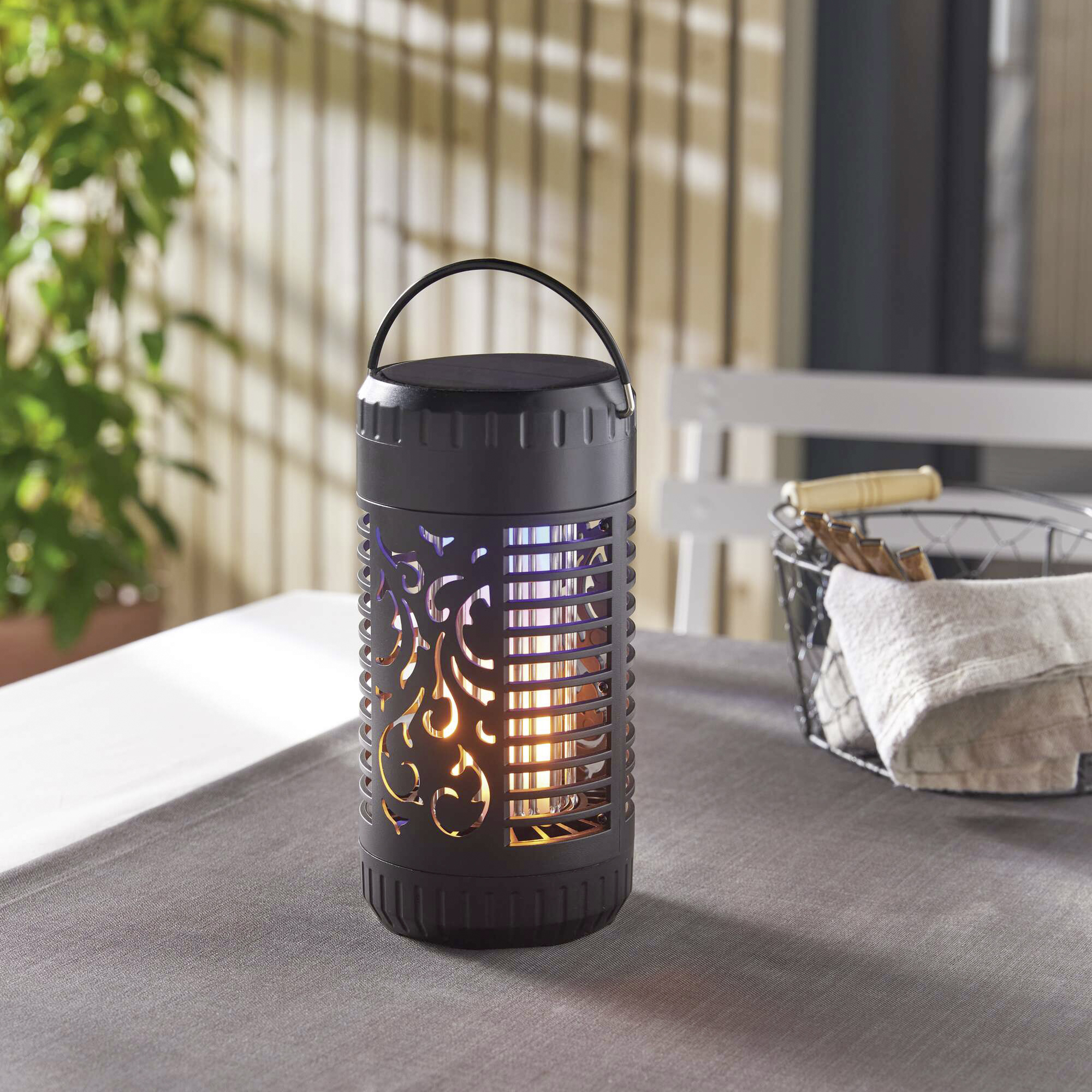 Acheter Piège à insectes "solaire"  dans la boutique en ligne de Frank Flechtwaren