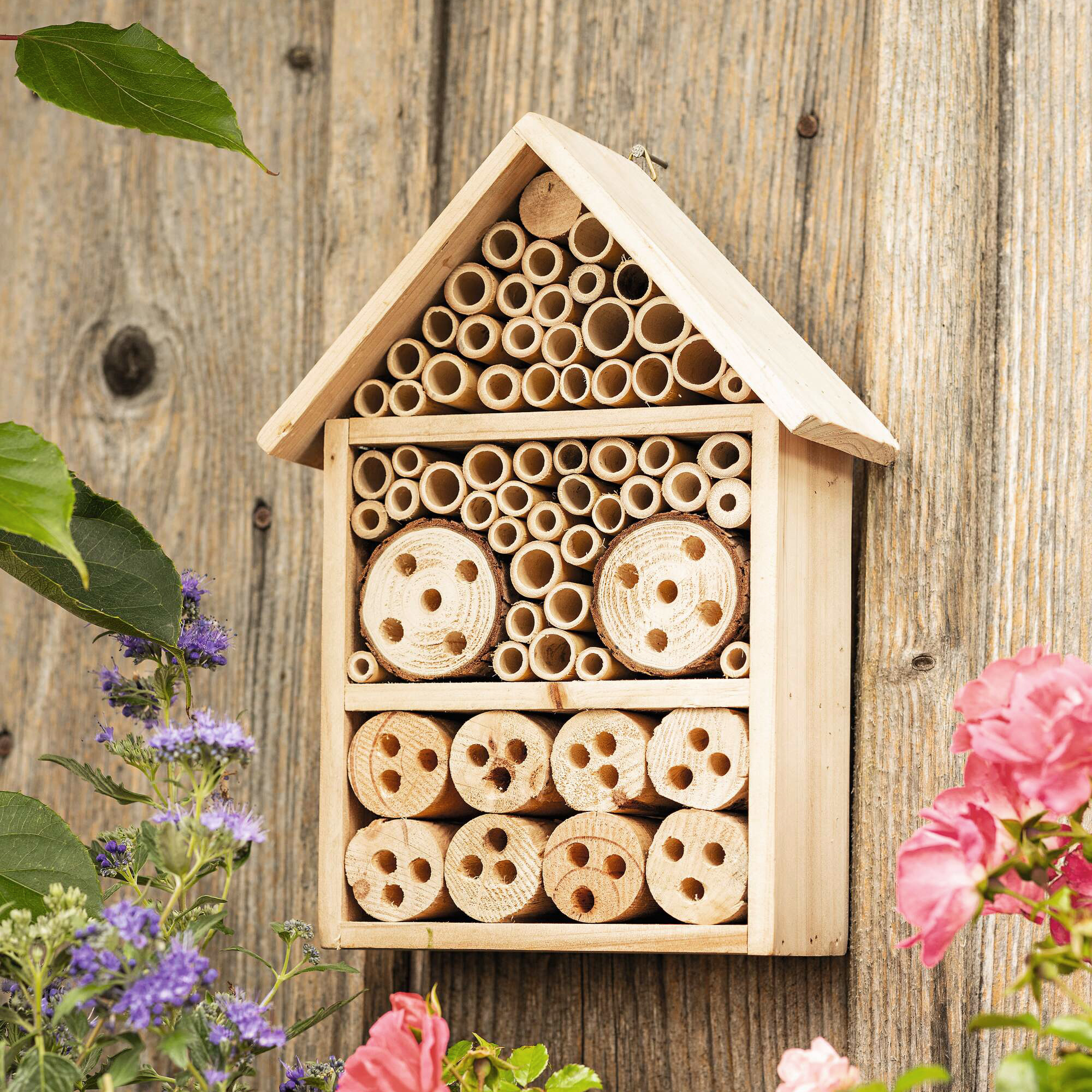 Acheter Hôtel pour insectes "Amour des abeilles"  dans la boutique en ligne de Frank Flechtwaren