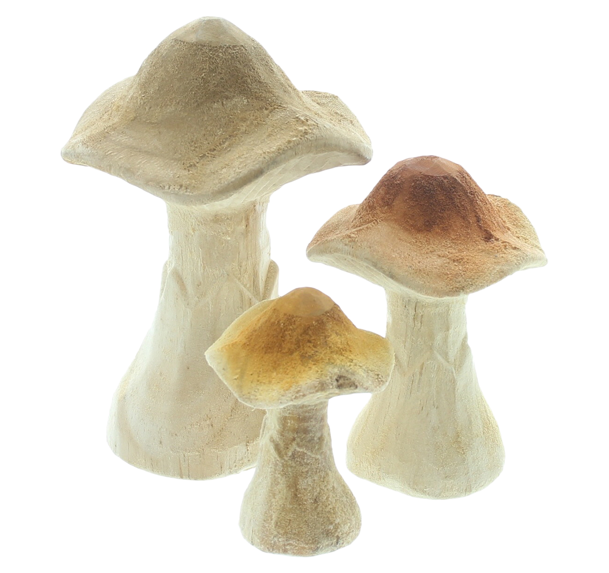 Acheter Lot de 3 champignons "naturels"  dans la boutique en ligne de Frank Flechtwaren pour Série titre automne/hiver