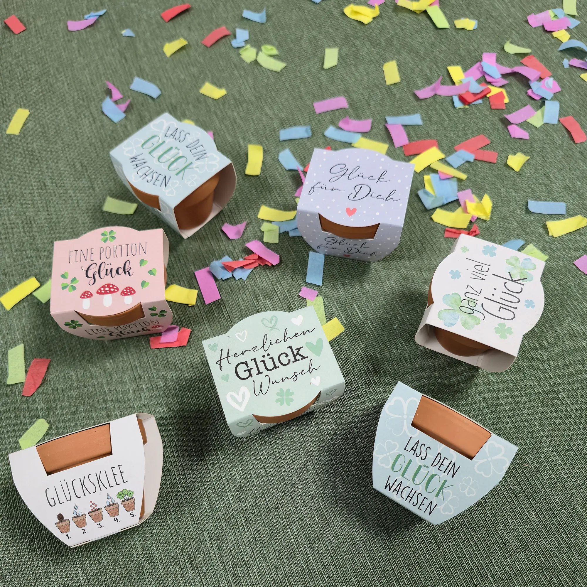 Acheter Lot de 2 minipot "trèfle porte-bonheur"  dans la boutique en ligne de Frank Flechtwaren