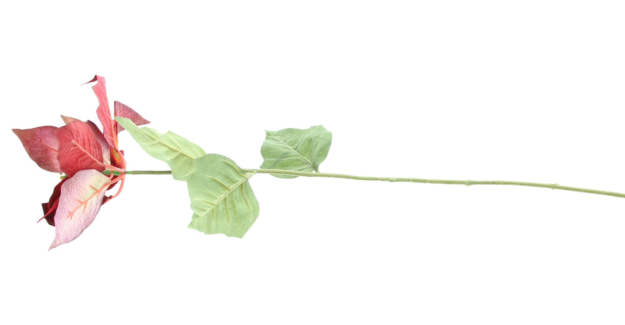 Acheter Lot de 2 fleurs artificielles "poinsettia"  dans la boutique en ligne de Frank Flechtwaren pour Noël