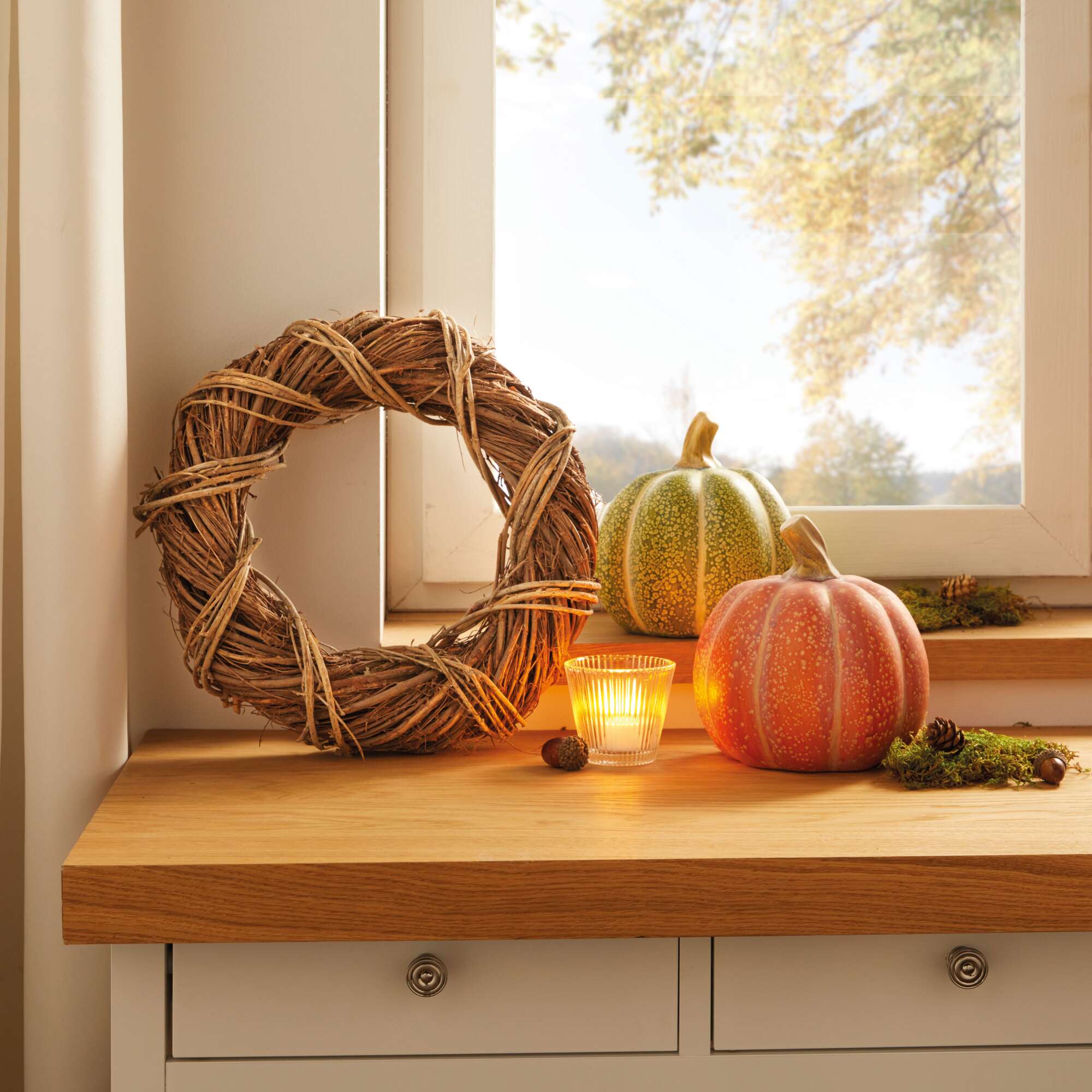 Acheter Lot de 2 citrouilles "orange &amp; vert"  dans la boutique en ligne de Frank Flechtwaren pour Série titre automne/hiver