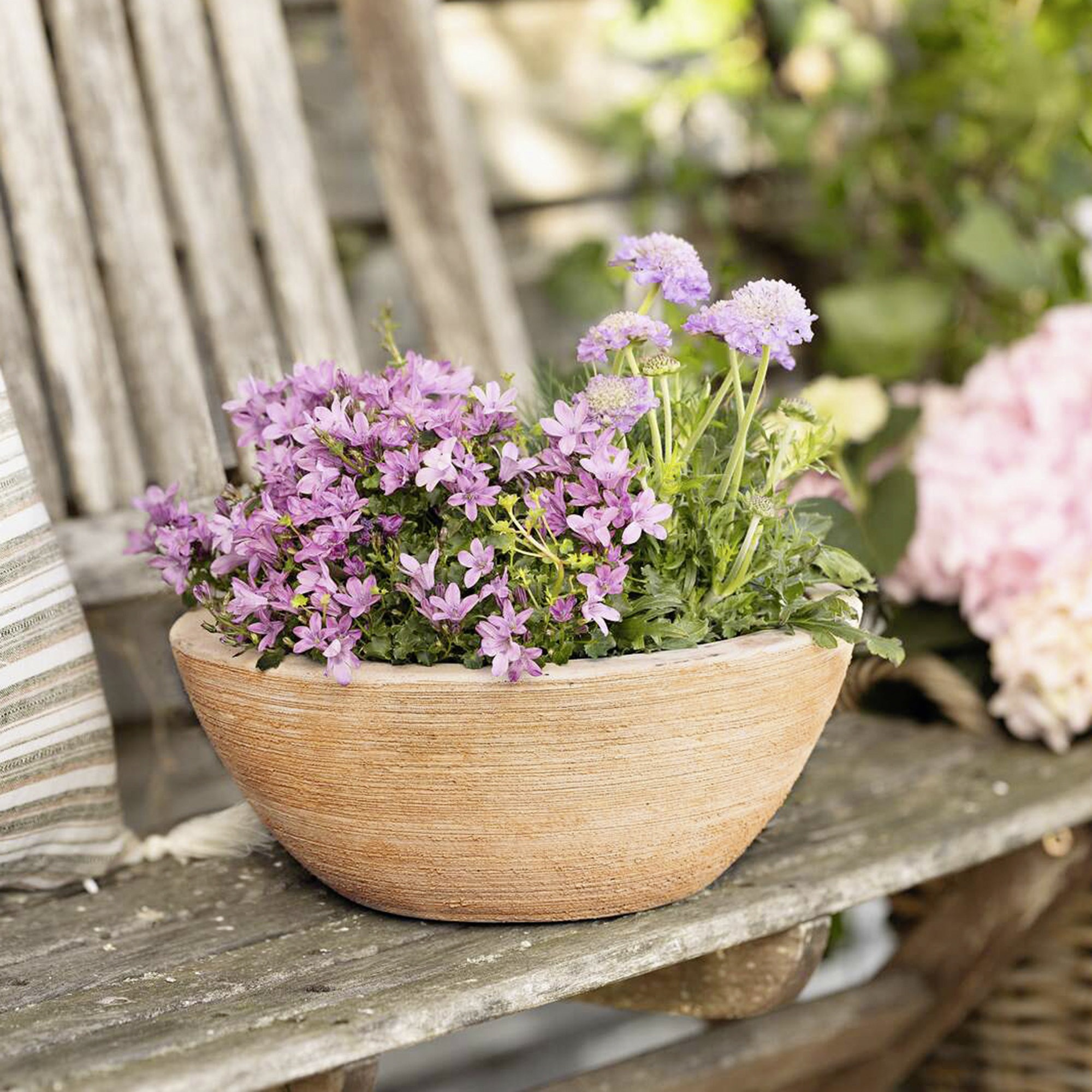 Acheter Jardinière "Modern Terra"  dans la boutique en ligne de Frank Flechtwaren