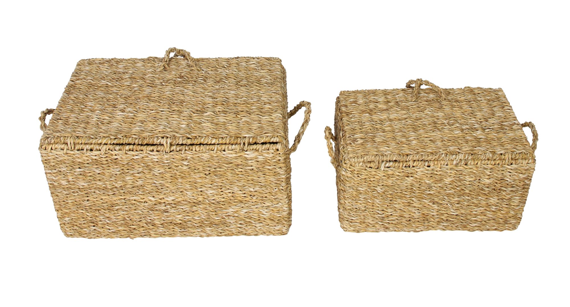 Acheter Lot de 2 coffres "zostère" dans la boutique en ligne de Frank Flechtwaren pour Paniers de remplissage & universels Acheter Lot de 2 coffres "zostère" dans la boutique en ligne de Frank Flechtwaren pour Paniers de remplissage & universels