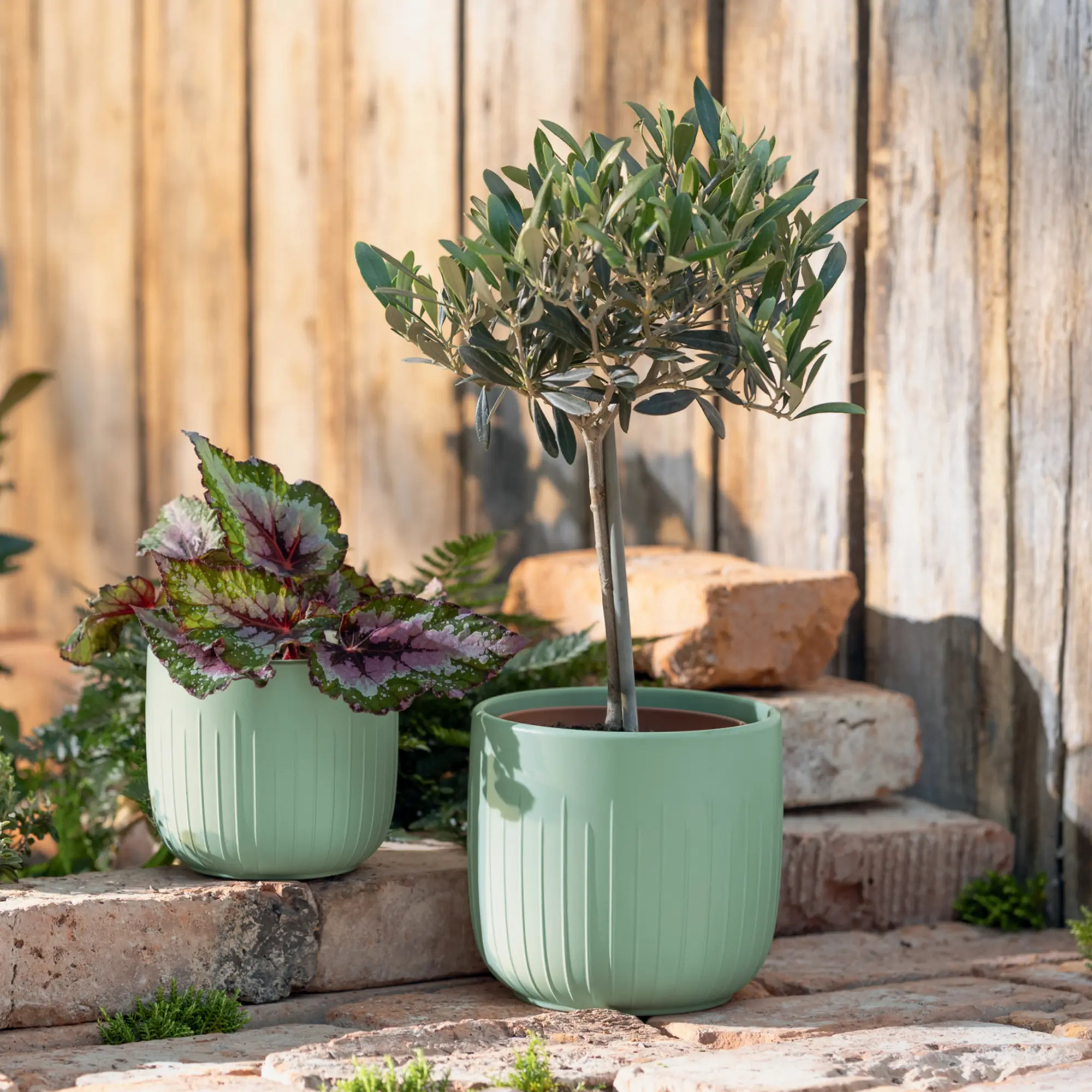 Acheter Lot de 2 pots de fleurs "sauge"  dans la boutique en ligne de Frank Flechtwaren