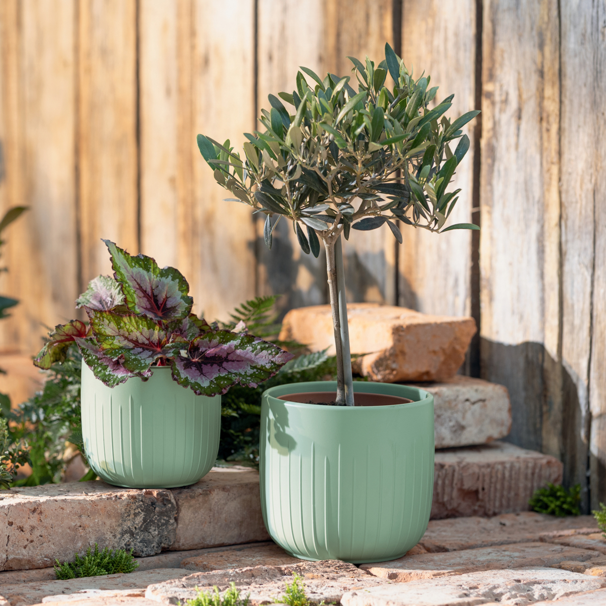 Acheter Lot de 2 pots de fleurs "sauge"  dans la boutique en ligne de Frank Flechtwaren pour Pots de fleurs