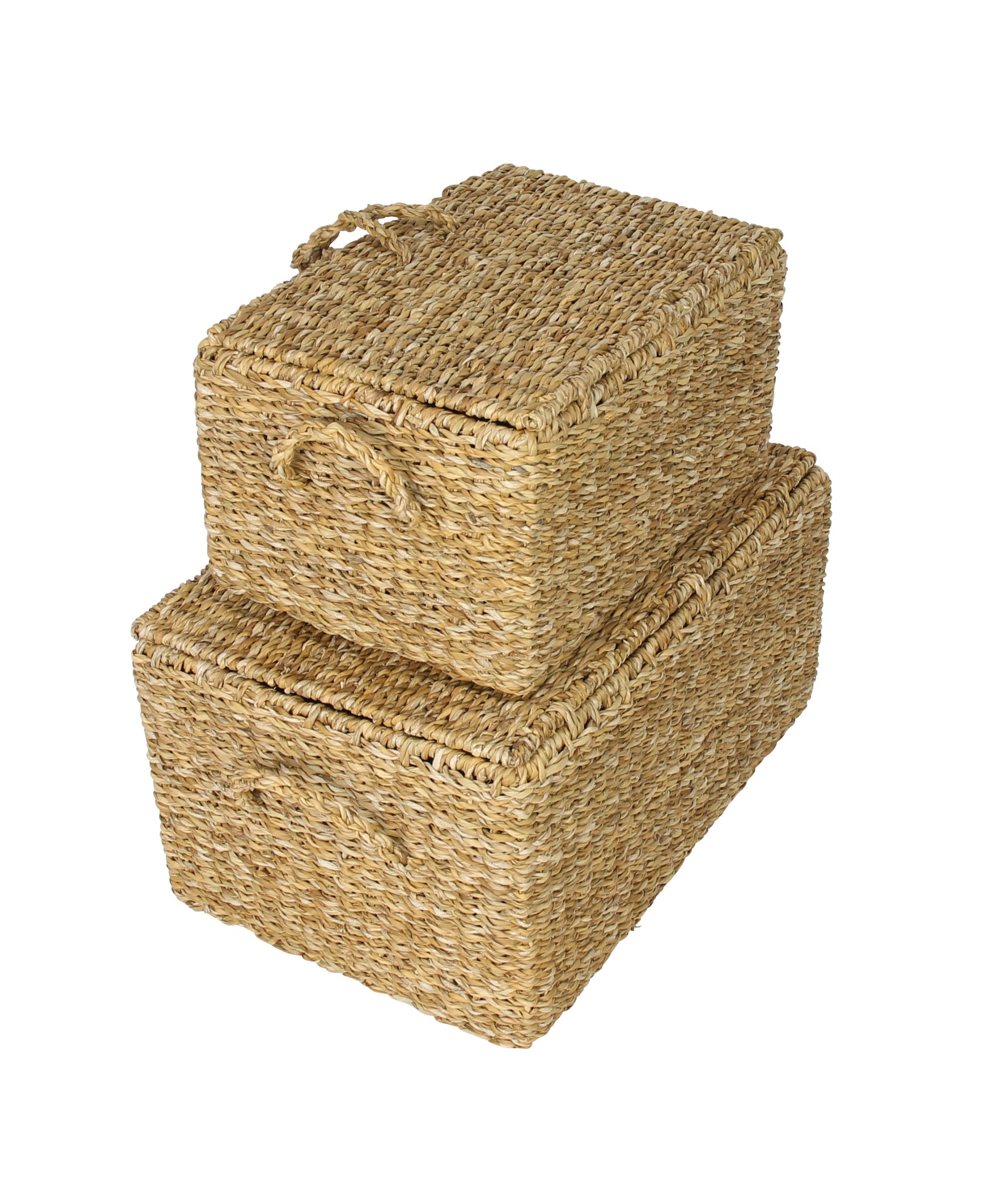 Acheter Lot de 2 coffres "zostère" dans la boutique en ligne de Frank Flechtwaren pour Paniers de remplissage & universels Acheter Lot de 2 coffres "zostère" dans la boutique en ligne de Frank Flechtwaren pour Paniers de remplissage & universels
