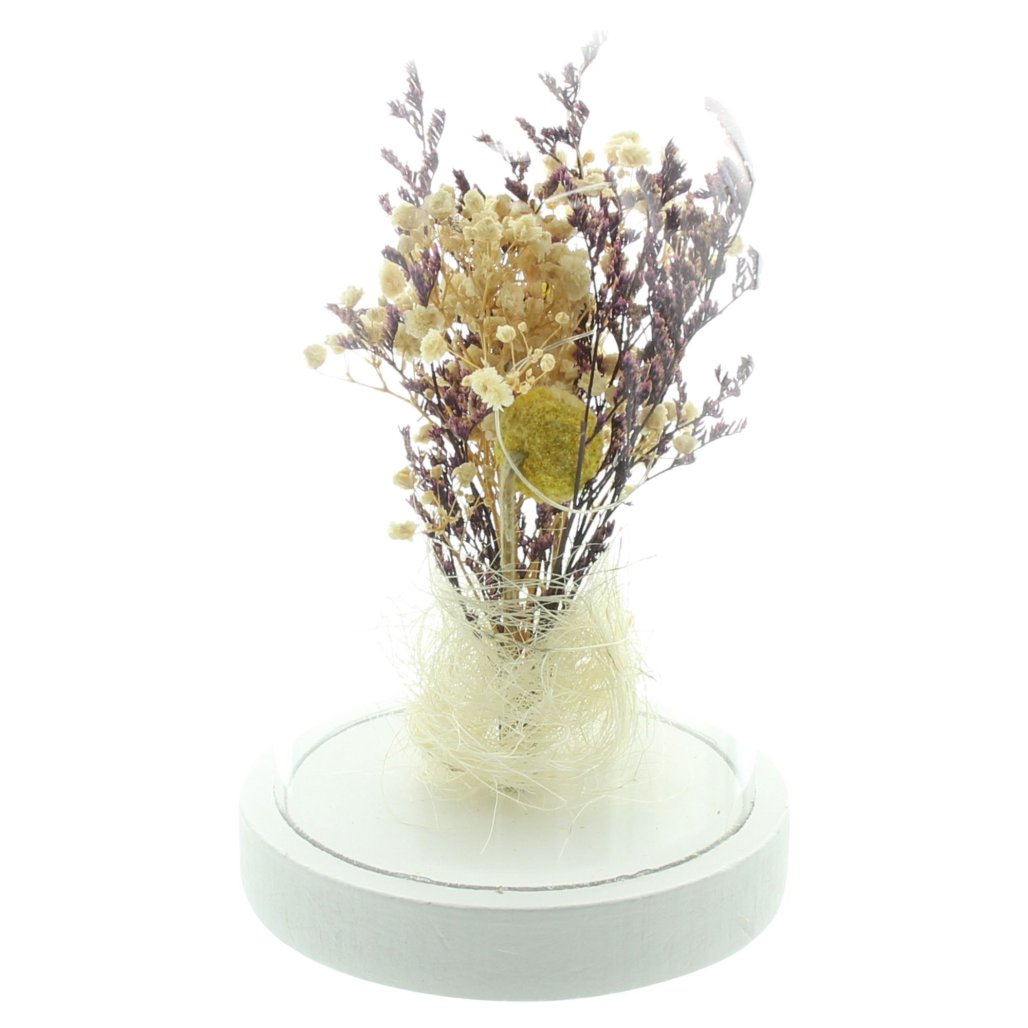 Acheter Cloche LED "fleurs séchées"  dans la boutique en ligne de Frank Flechtwaren pour Décorations de table LED