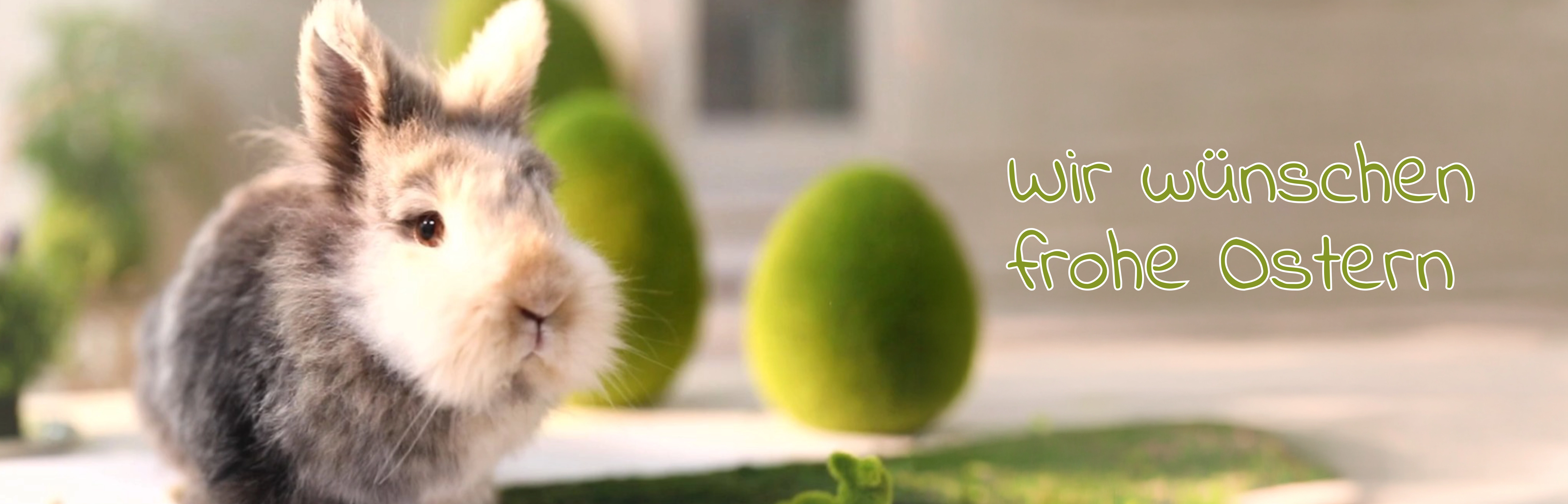 Osterdeko: grauer Zwergkaninchen‑Hase mit grünen Dekoeiern als frühlingshafte Osterdekoration