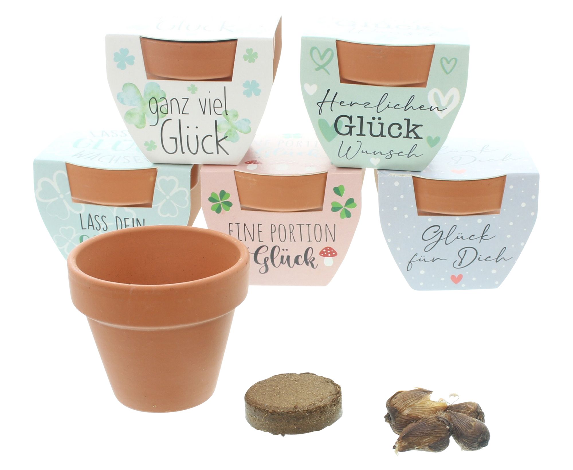 Acheter Lot de 2 minipot "trèfle porte-bonheur"  dans la boutique en ligne de Frank Flechtwaren pour Décoration