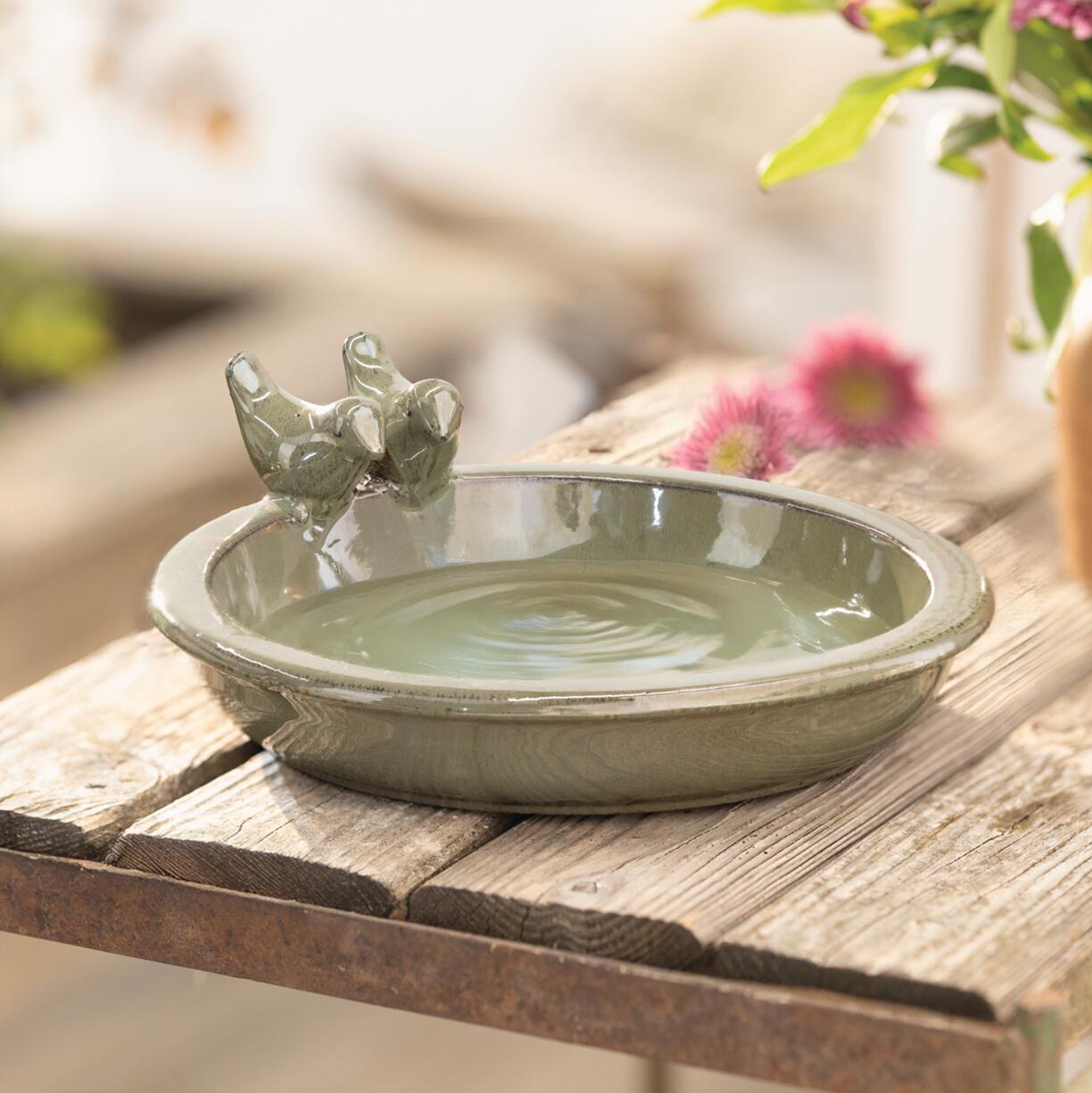 Acheter Abreuvoir pour oiseaux "Jardin d'oliviers"  dans la boutique en ligne de Frank Flechtwaren pour Nichoirs &amp; abreuvoirs pour oiseaux