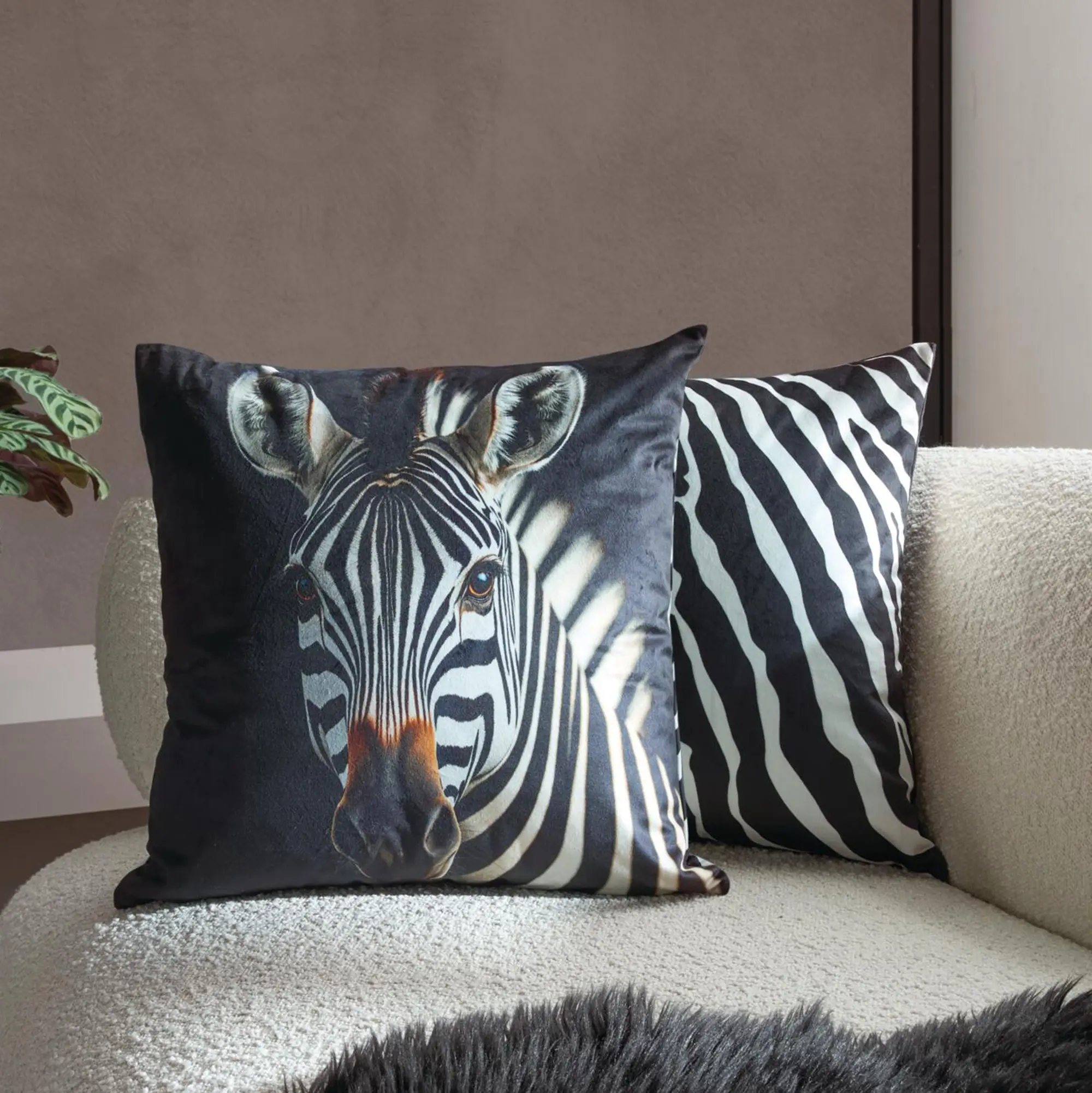 Acheter Housse de coussin « Zebra »  dans la boutique en ligne de Frank Flechtwaren
