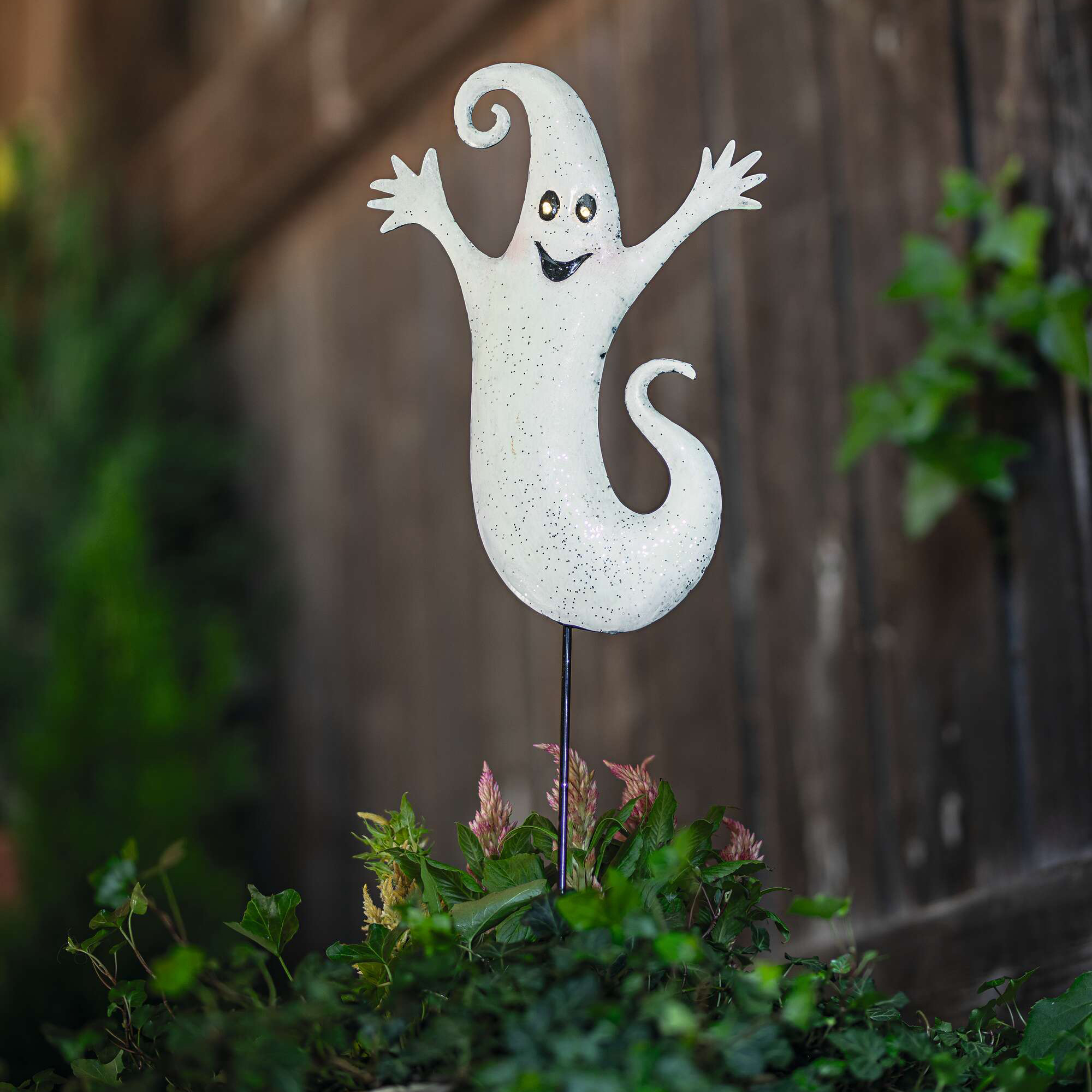 Acheter Pic LED "fantôme"  dans la boutique en ligne de Frank Flechtwaren