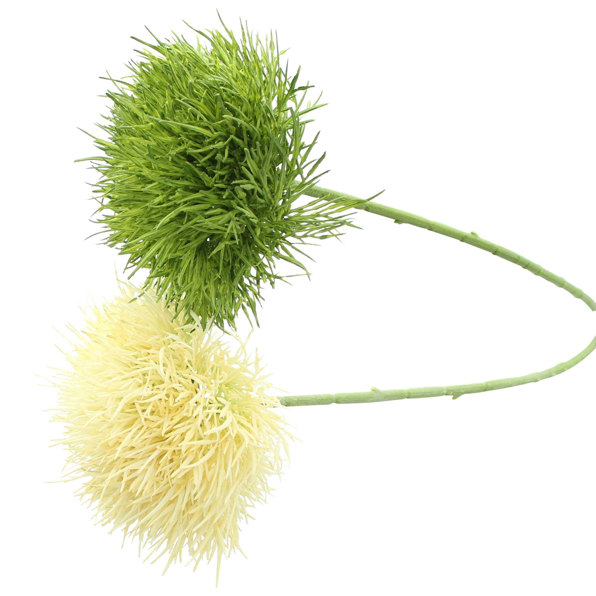Acheter Lot de 2 plantes "globulaire"  dans la boutique en ligne de Frank Flechtwaren pour Plantes artificielles