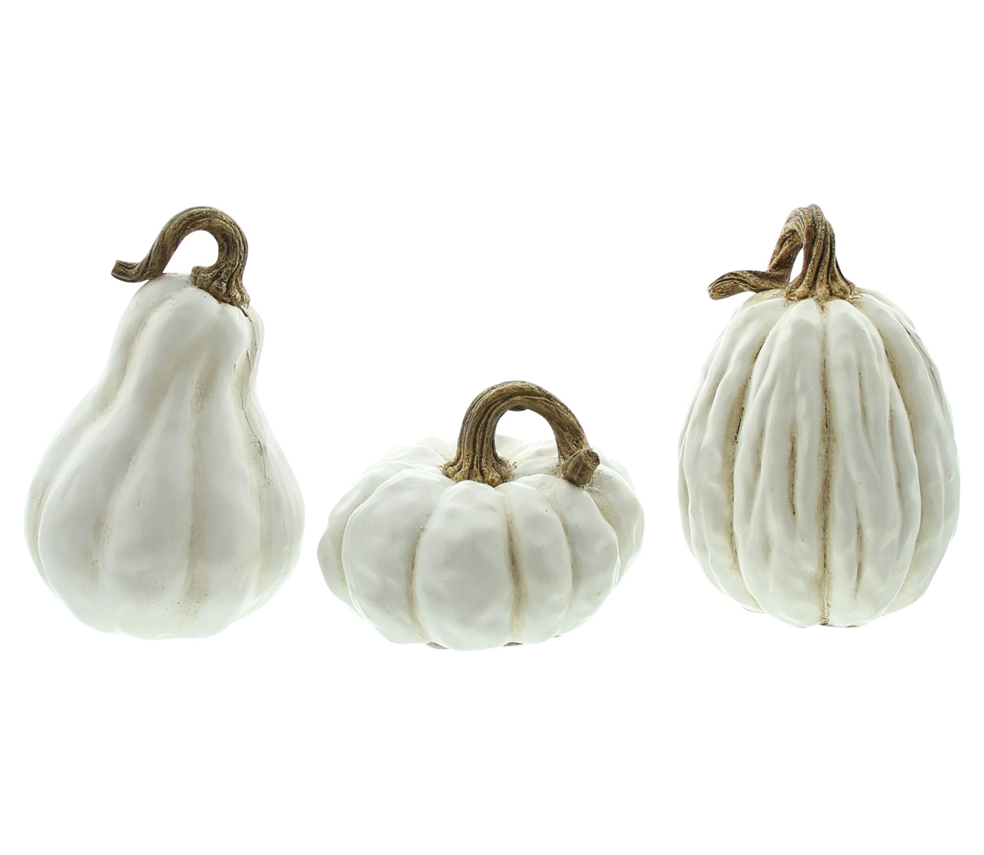 Acheter Lot de 3 citrouilles "White"  dans la boutique en ligne de Frank Flechtwaren pour Série titre automne/hiver
