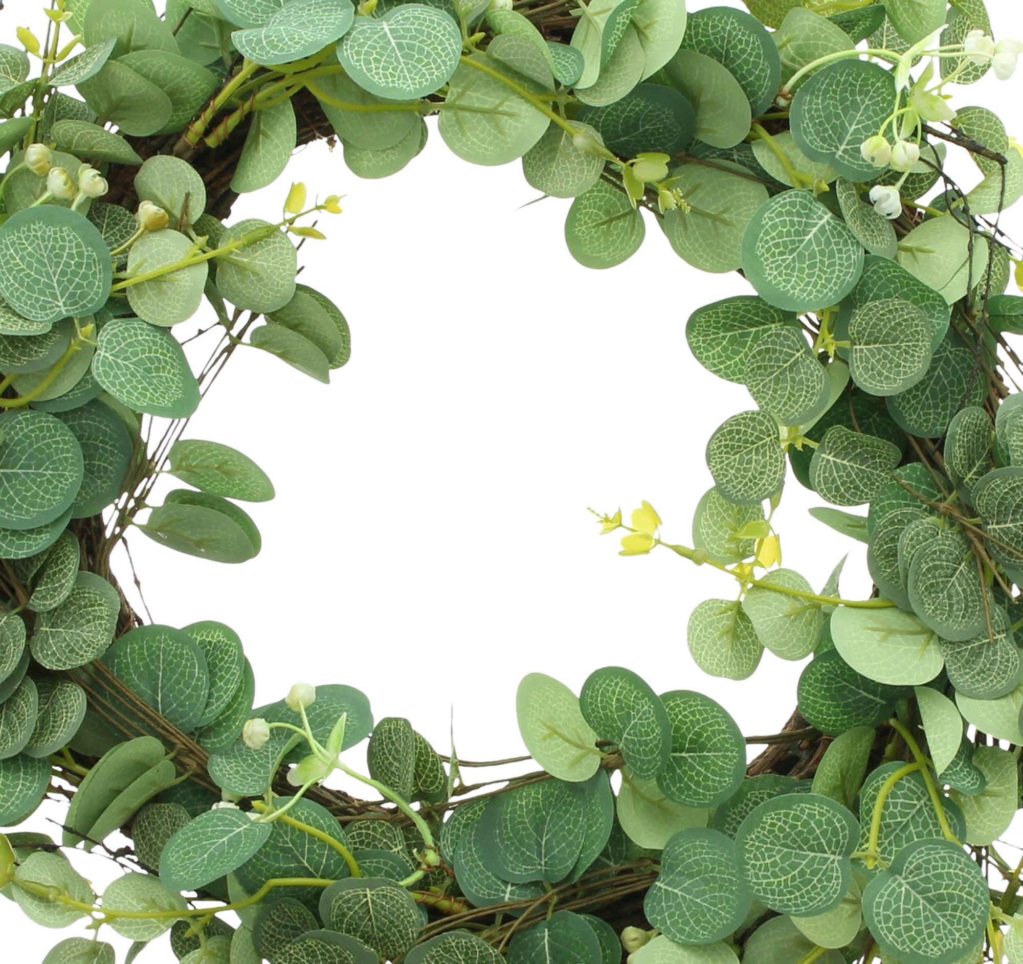 Acheter Couronne "eucalyptus"  dans la boutique en ligne de Frank Flechtwaren pour Couronnes