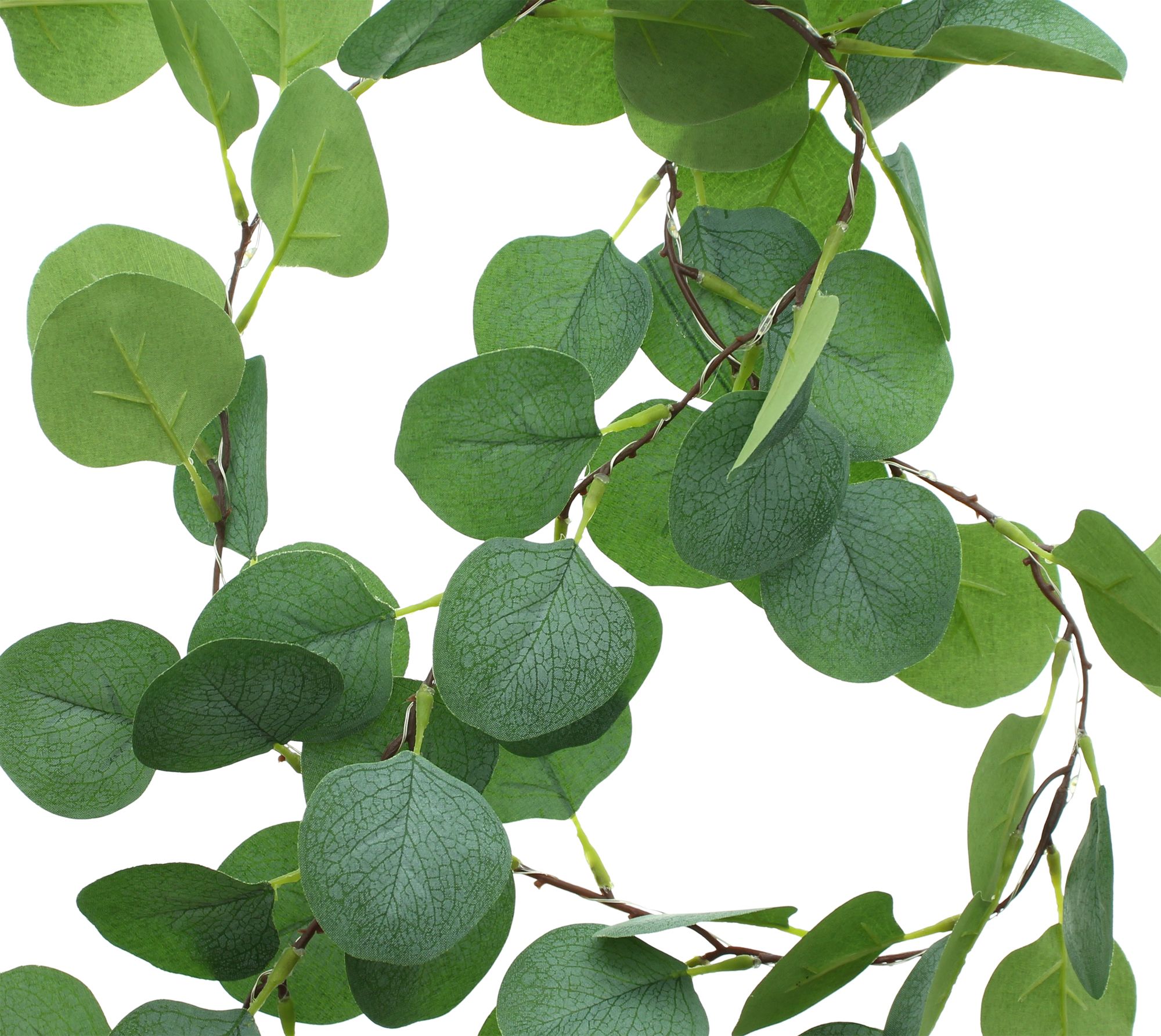 Acheter Guirlande LED "eucalyptus"  dans la boutique en ligne de Frank Flechtwaren pour Pâques