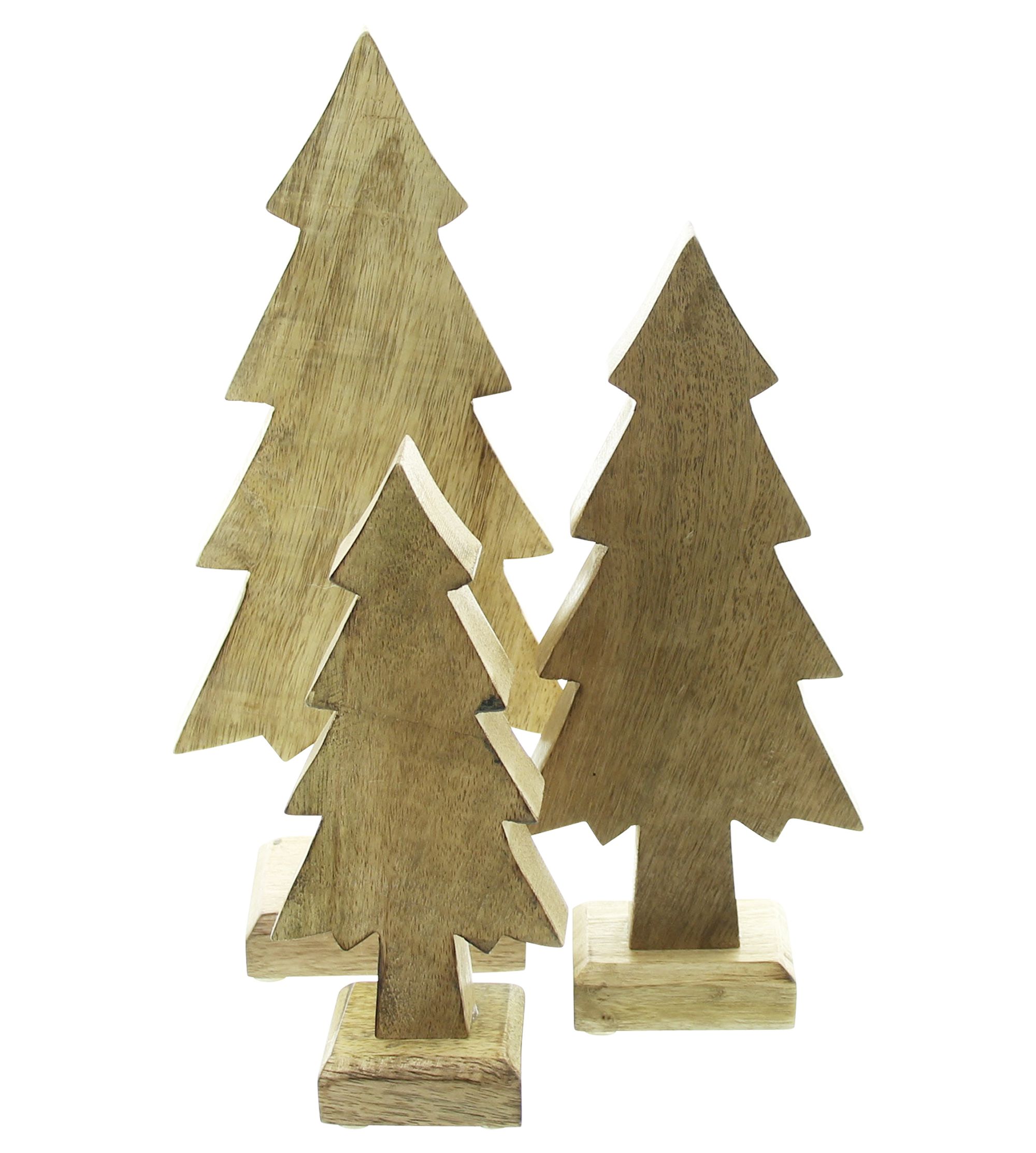 Acheter Lot de 3 sapins "bois de manguier"  dans la boutique en ligne de Frank Flechtwaren pour Sapins