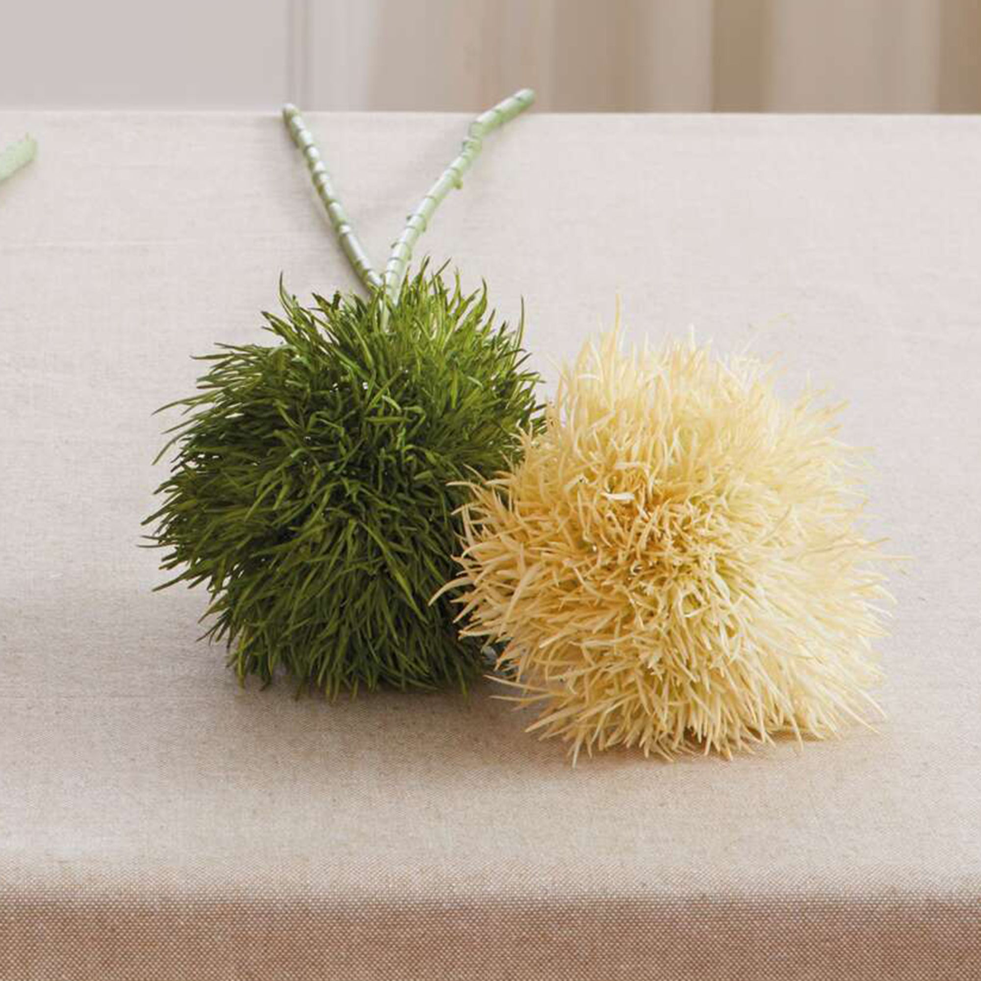 Acheter Lot de 2 plantes "globulaire"  dans la boutique en ligne de Frank Flechtwaren