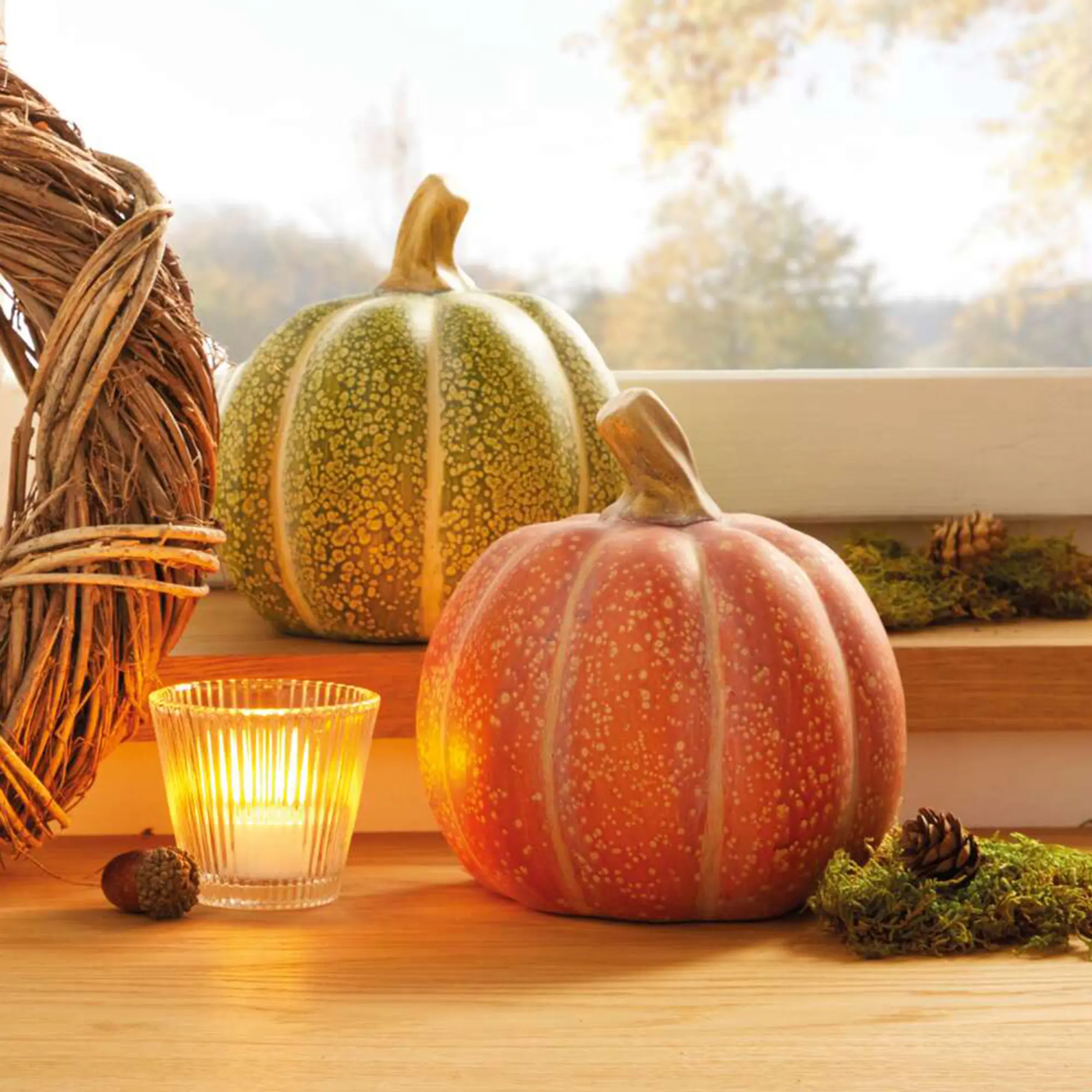 Acheter Lot de 2 citrouilles "orange &amp; vert"  dans la boutique en ligne de Frank Flechtwaren