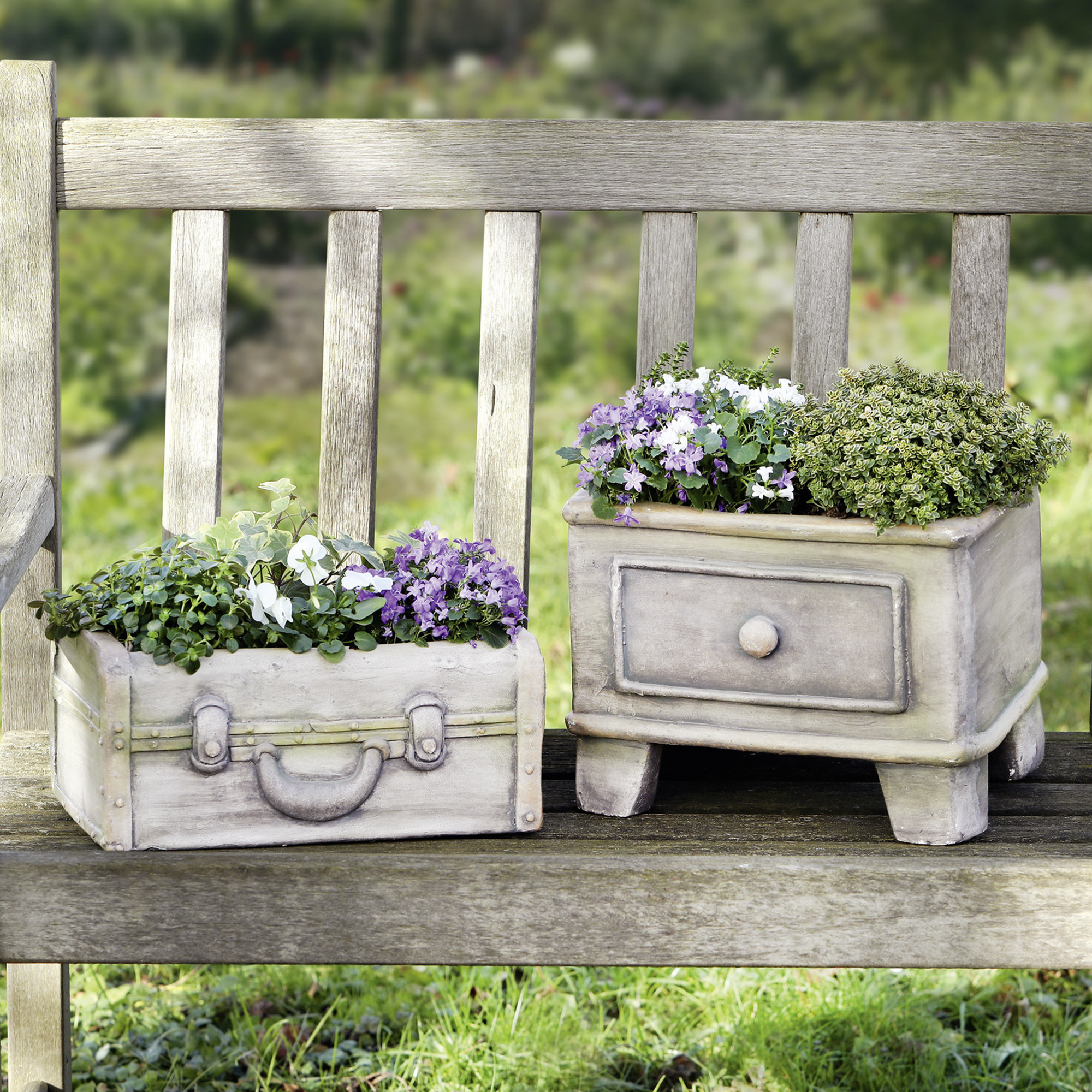 Acheter Bac à plantes "valise"  dans la boutique en ligne de Frank Flechtwaren
