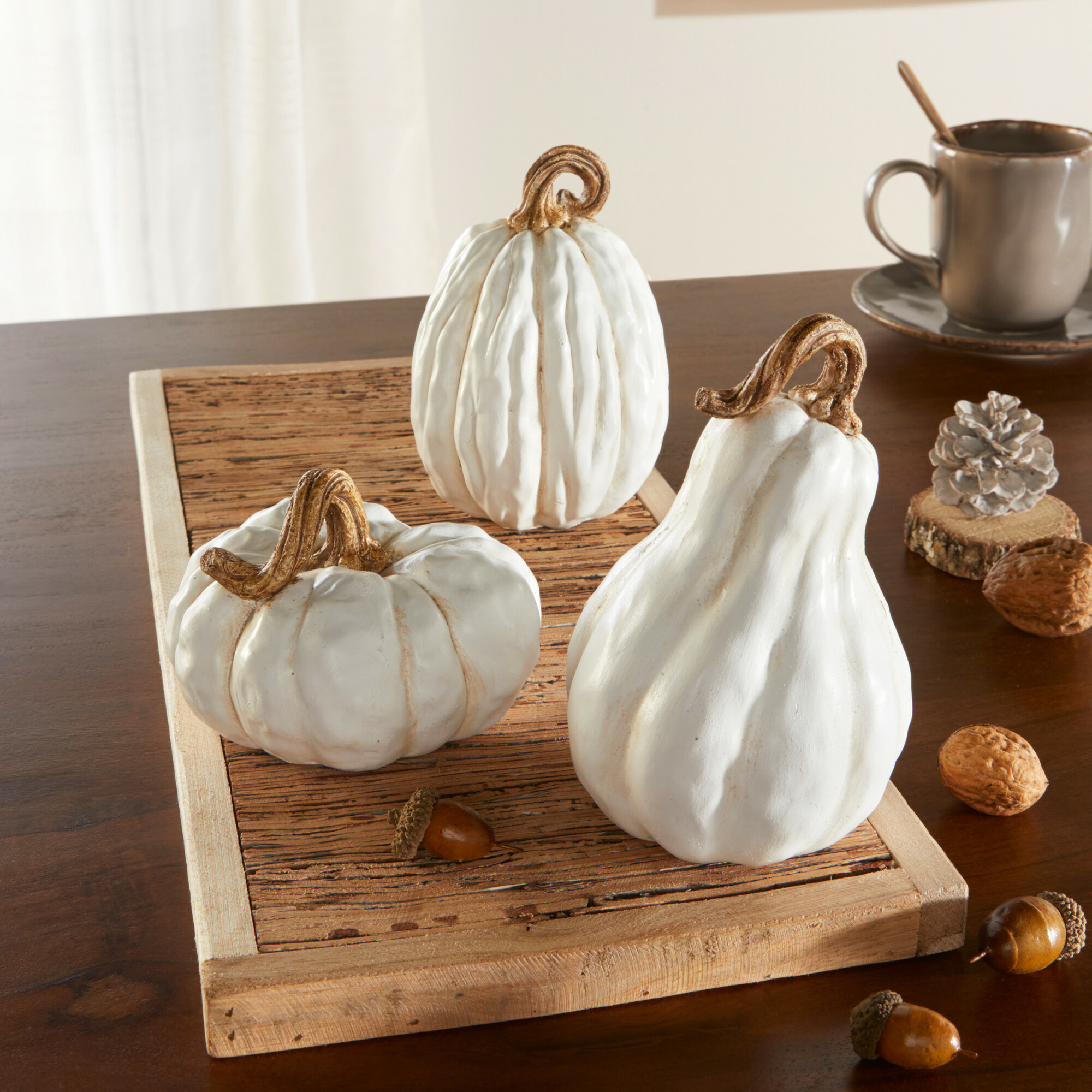 Acheter Lot de 3 citrouilles "White"  dans la boutique en ligne de Frank Flechtwaren pour Série titre automne/hiver