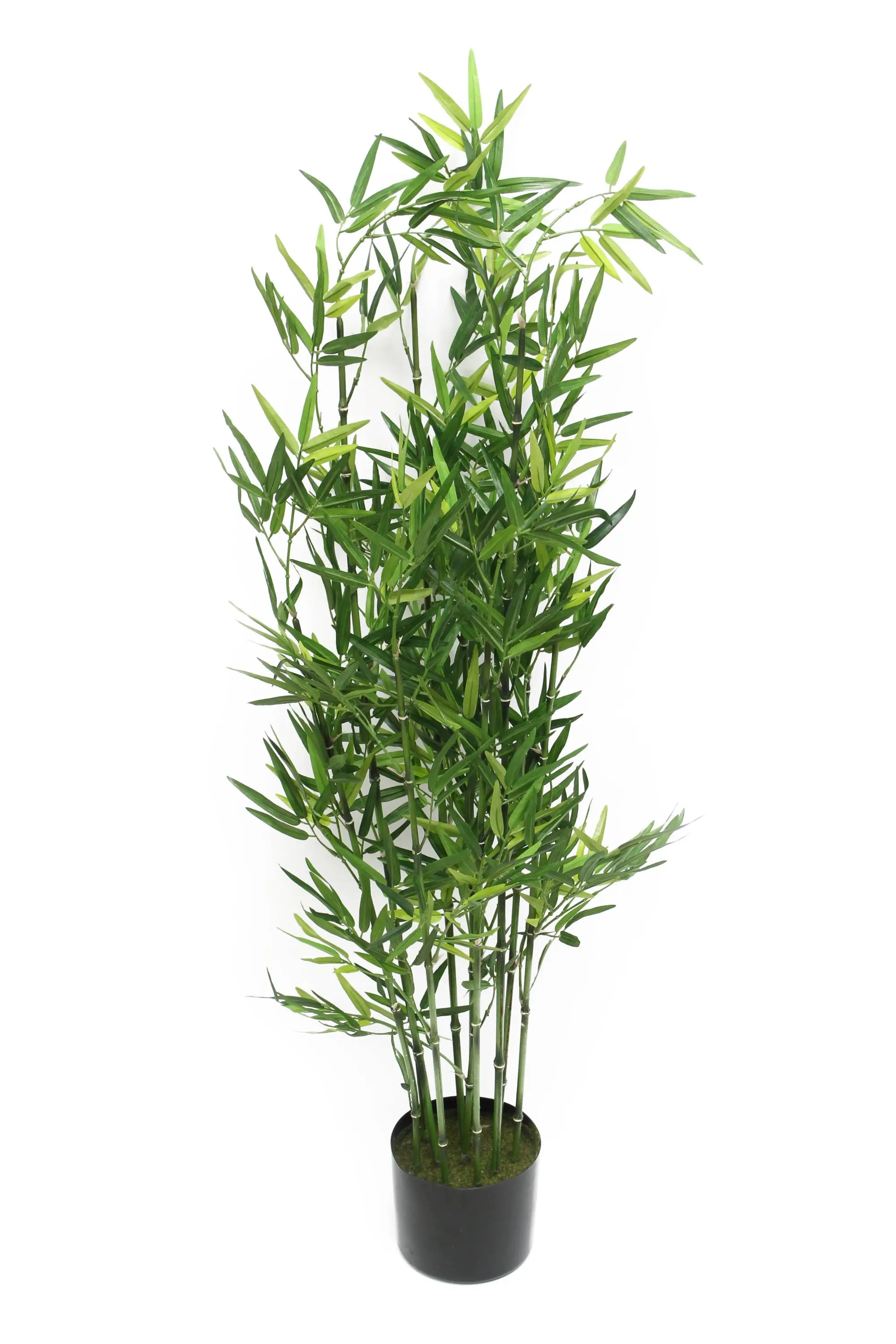 Acheter Plante "bambou"  dans la boutique en ligne de Frank Flechtwaren pour Plantes artificielles