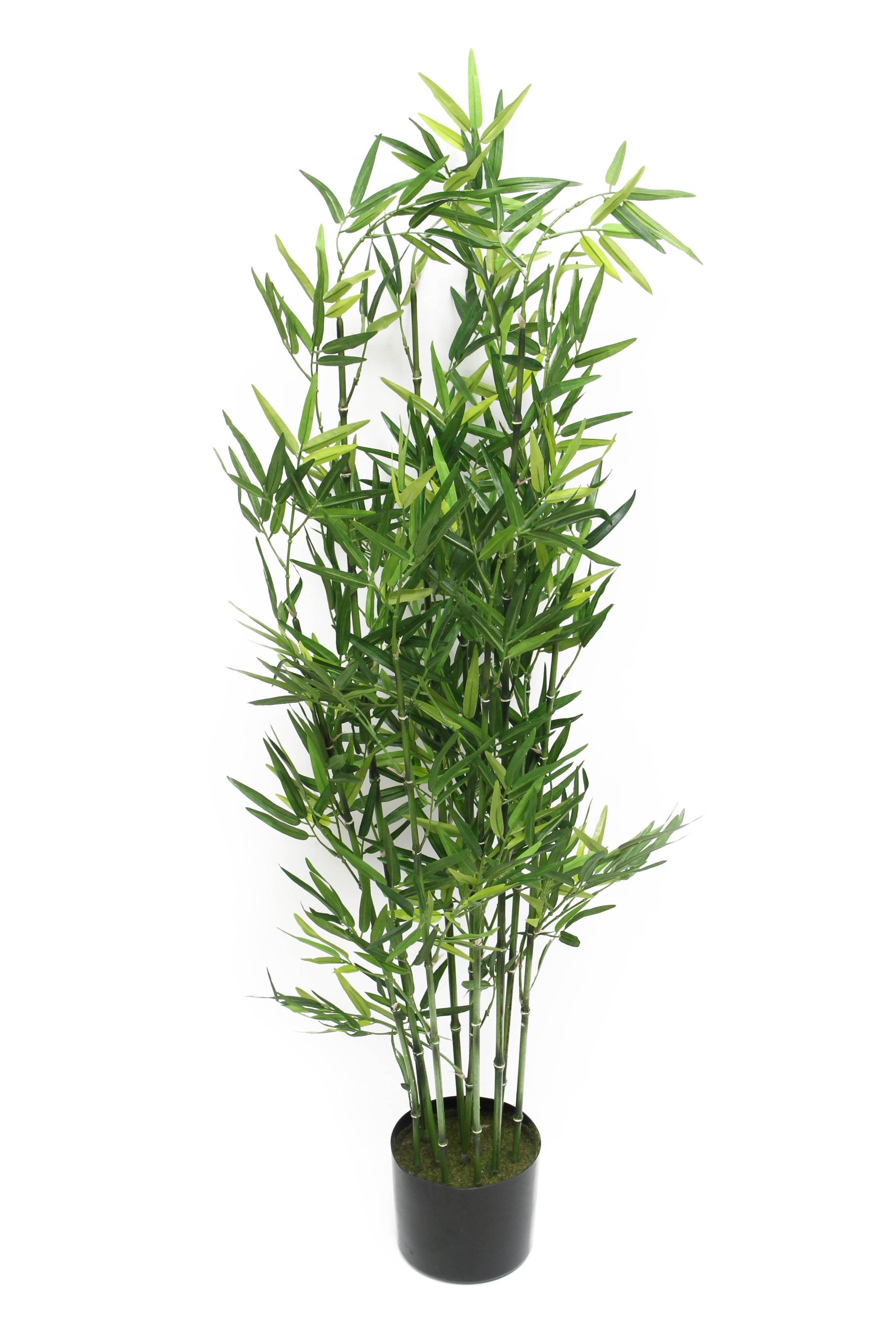 Acheter Plante "bambou"  dans la boutique en ligne de Frank Flechtwaren pour Plantes artificielles