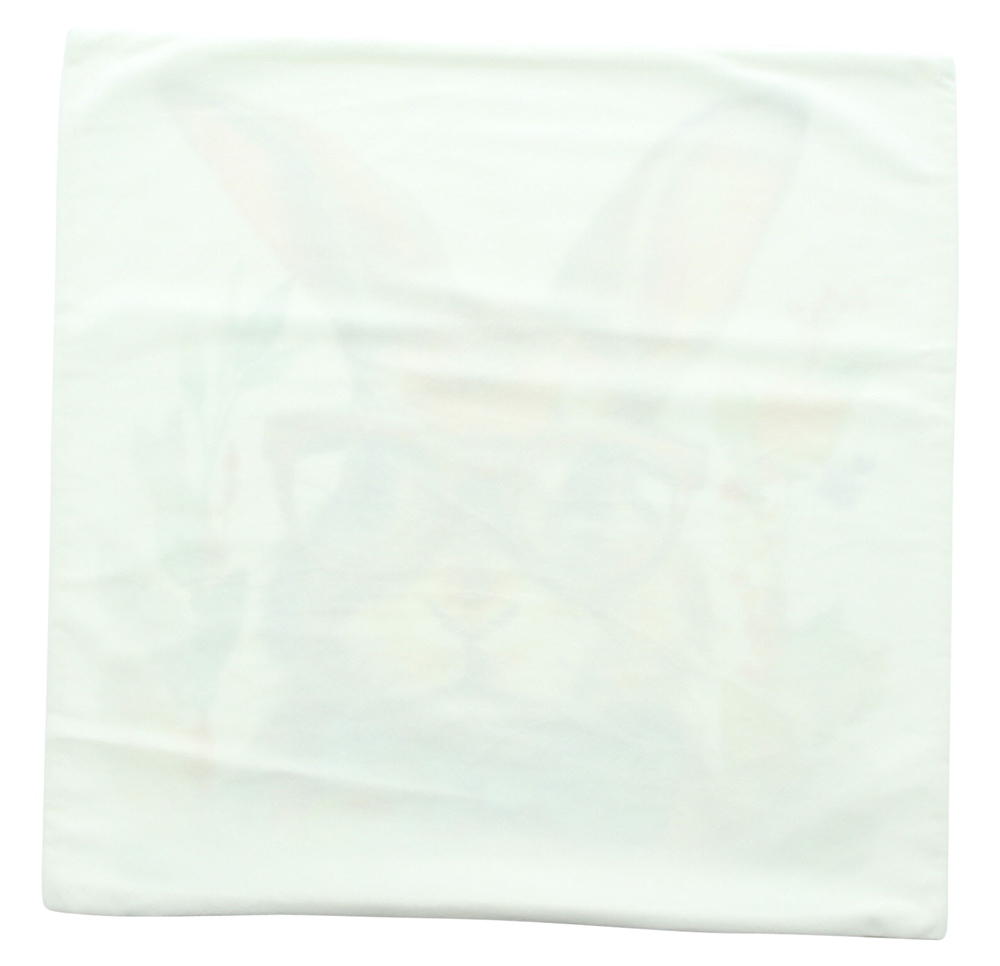 Acheter Housse de coussin "professeur lapin"  dans la boutique en ligne de Frank Flechtwaren pour Nouvel arrivage