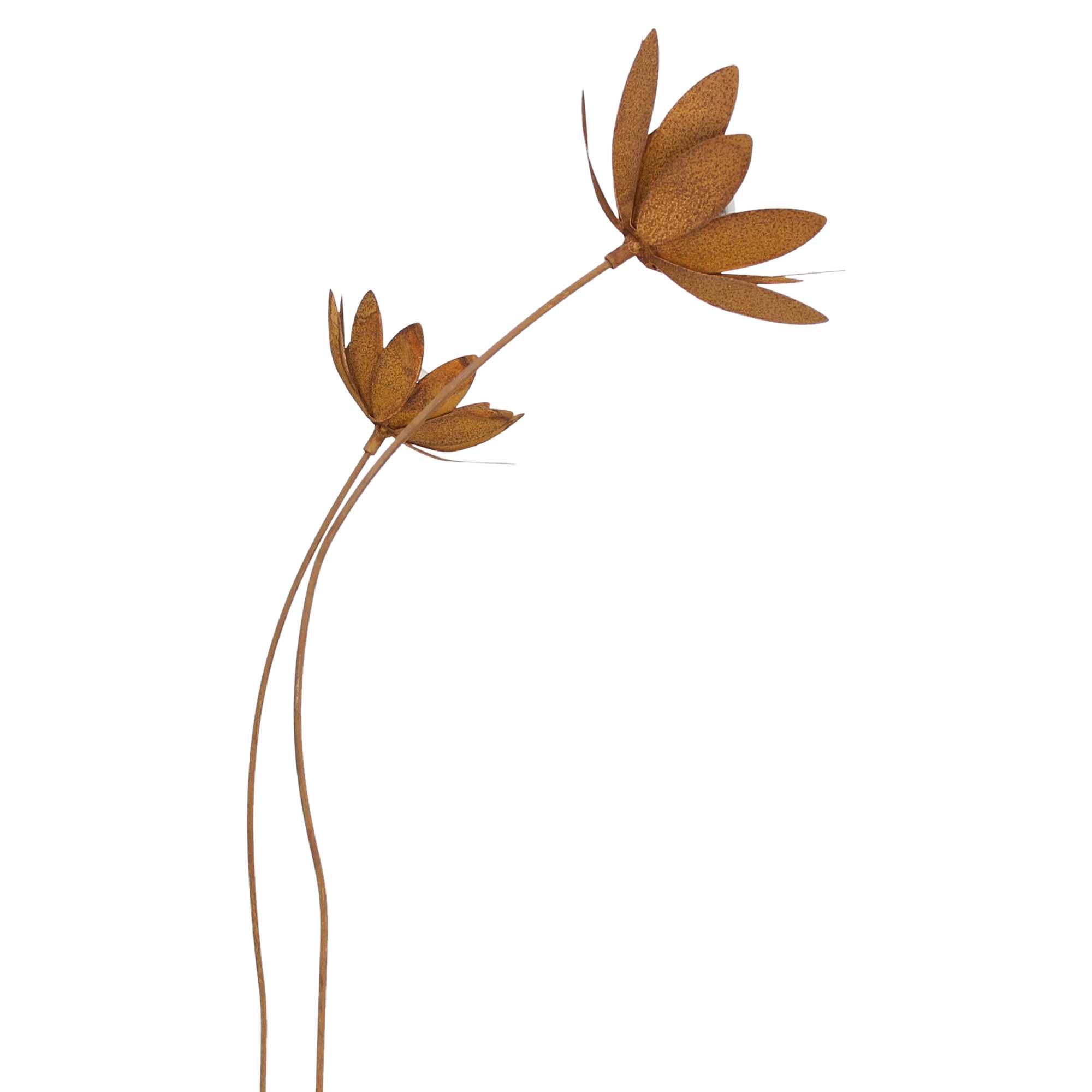 Acheter Lot de 2 pics de jardin "fleur"  dans la boutique en ligne de Frank Flechtwaren pour Pics de jardin