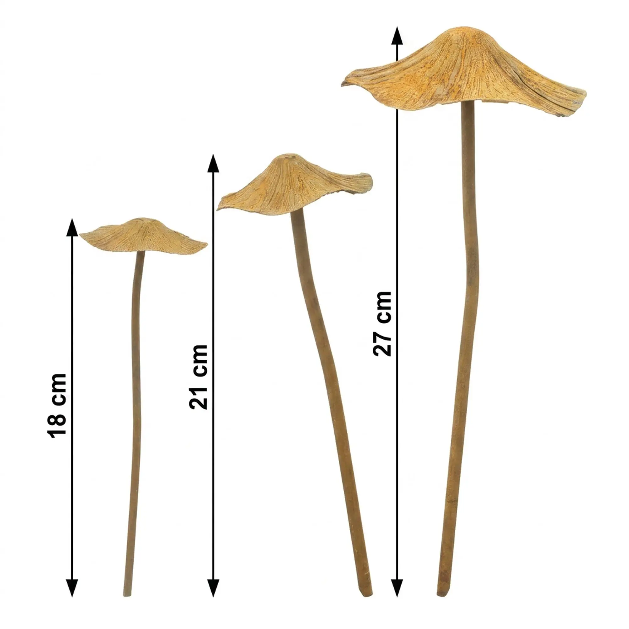 Acheter Lot de 3 pics "champignon"  dans la boutique en ligne de Frank Flechtwaren pour Promenade en forêt